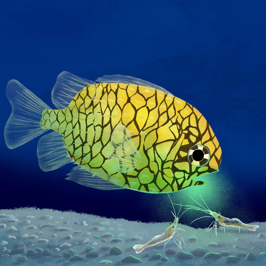 Pineapple Fish