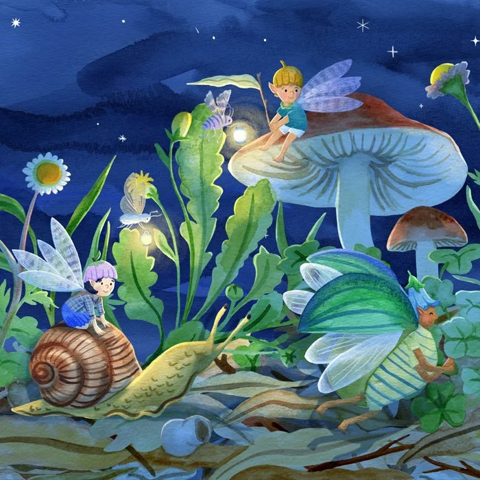 Fairy-Beach-racing.jpg