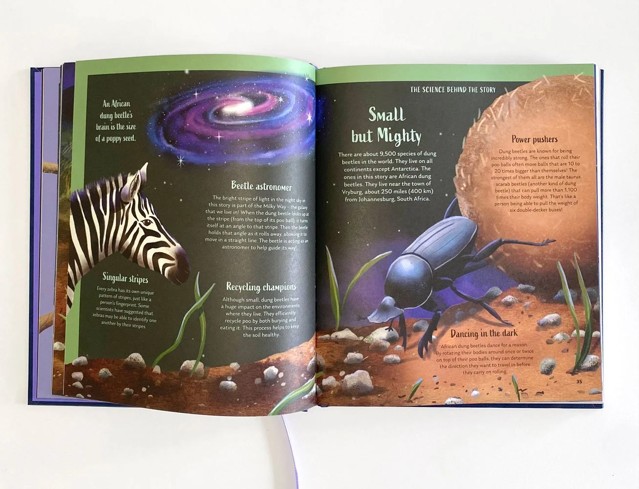 SoTS-dung-beetle-spread.jpg