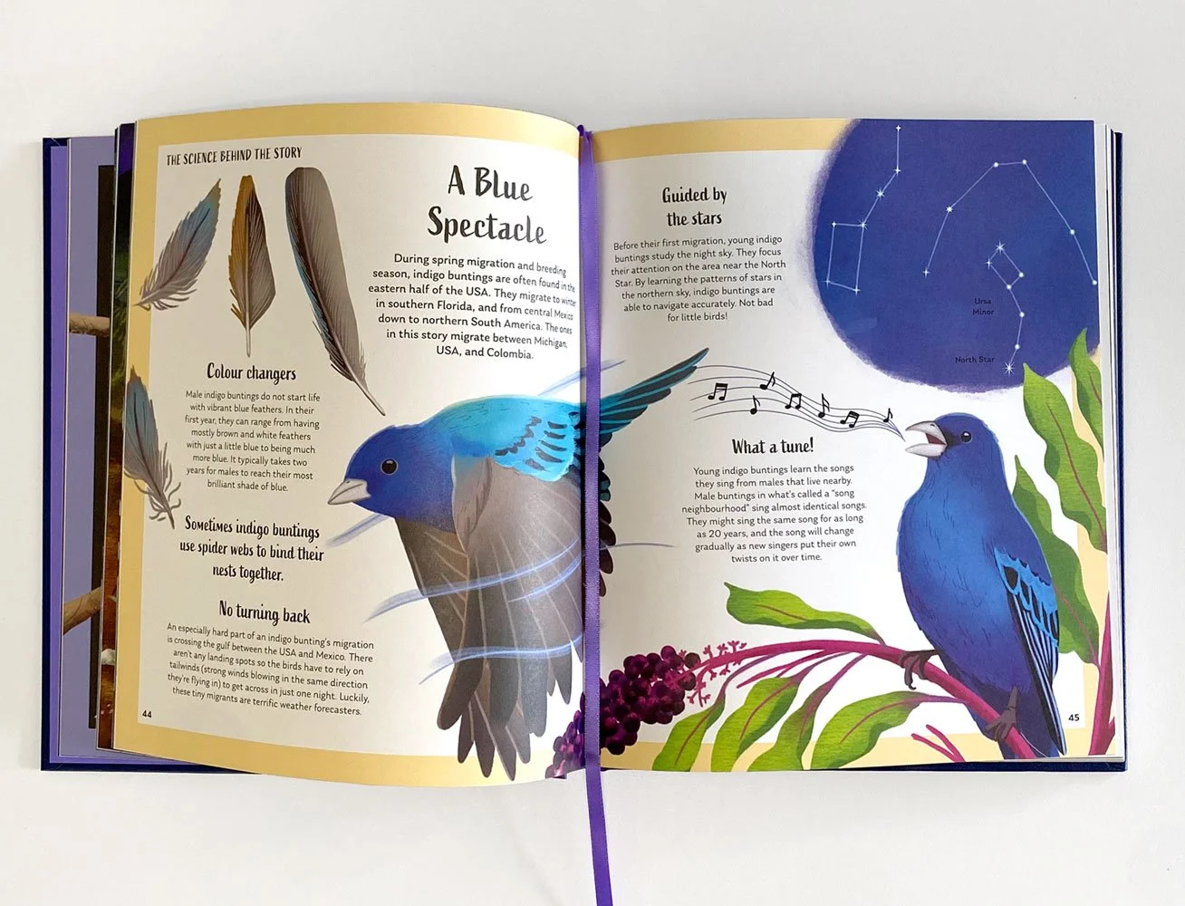 SoTS-indigo-bunting-spread.jpg