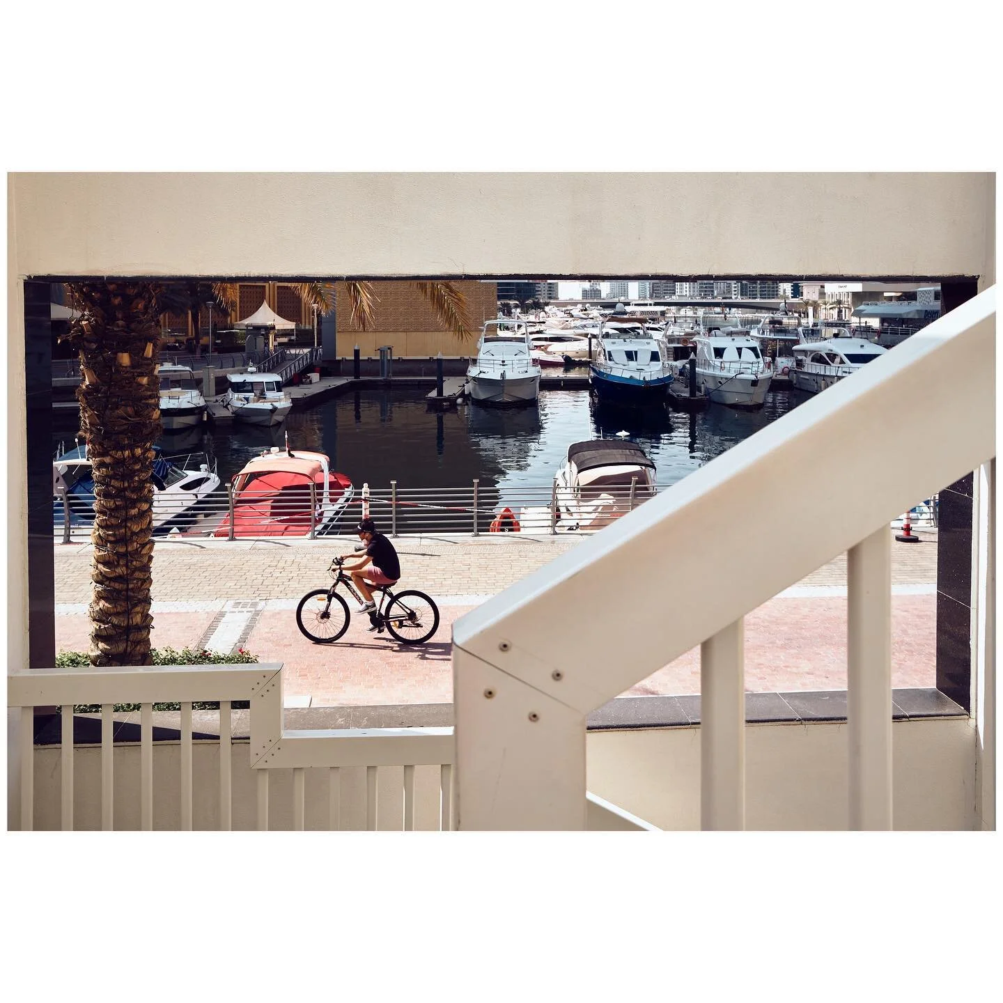 Framing the bike 
Colour or BnW? 
-
-
-
-
-
-
-
-
-
-
-
-
-
#gulfphotoplus #fujilove #fujifilm #fujicolor #uae #dubai #streetphotography #streetavengers  #mydubai #travelphotography #travel #dubaimarina #xpro3 #fujifilmme @fujifilmme #classicnegative