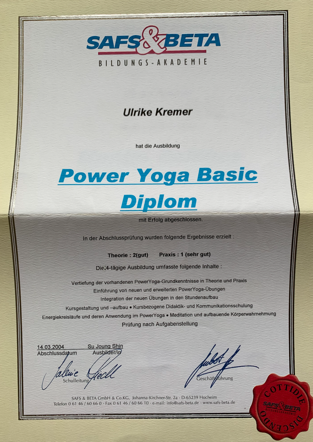  Power Yoga Basics 2004