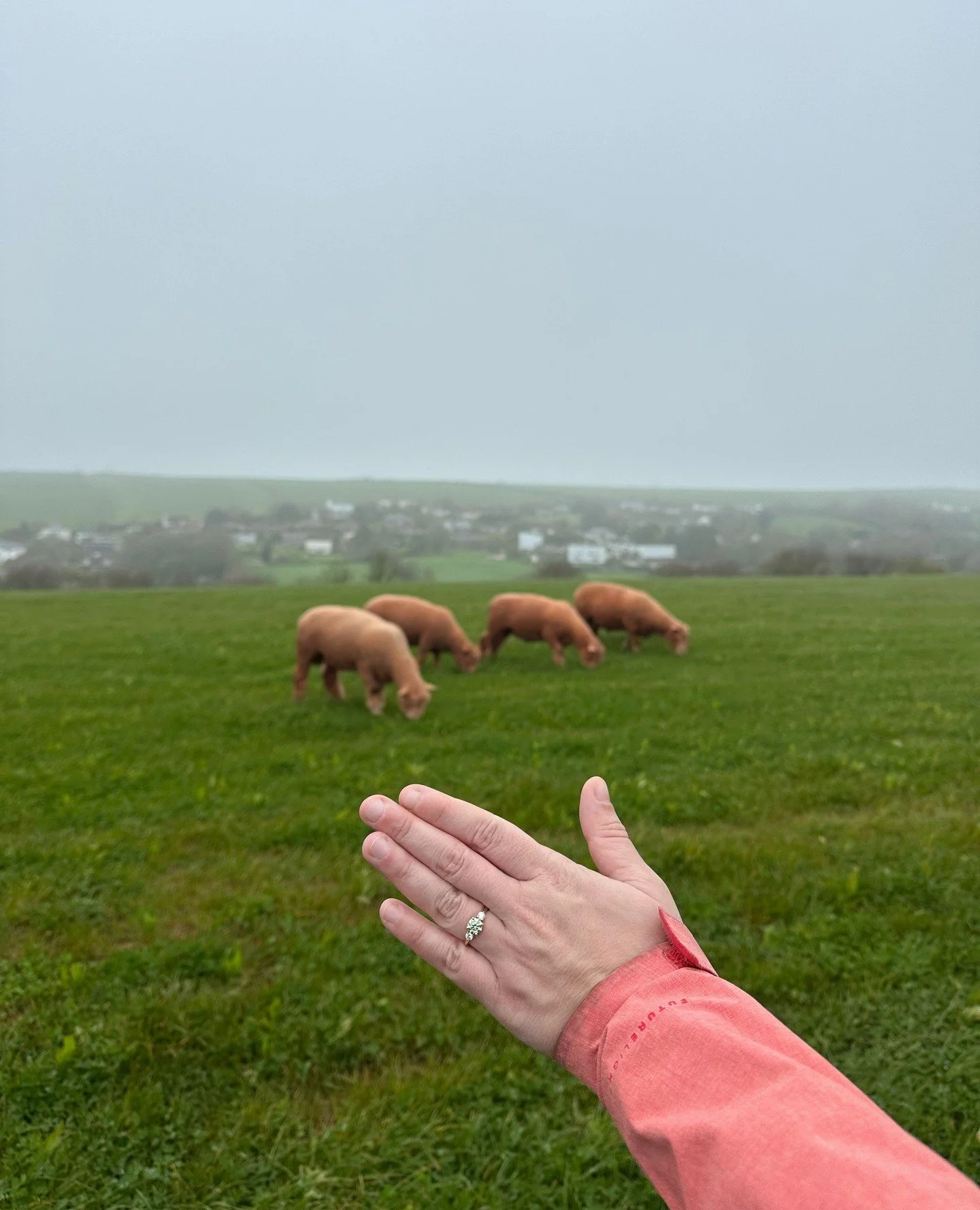 We love a springtime proposal! 💍🌷✨️ ⁠
⁠
A vibrant green diamond to match the lushous greenery of Salcombe's stunning coastline. It was a privilege to create this gold trilogy ring, and I couldn&rsquo;t be happier with how beautifully it turned out!
