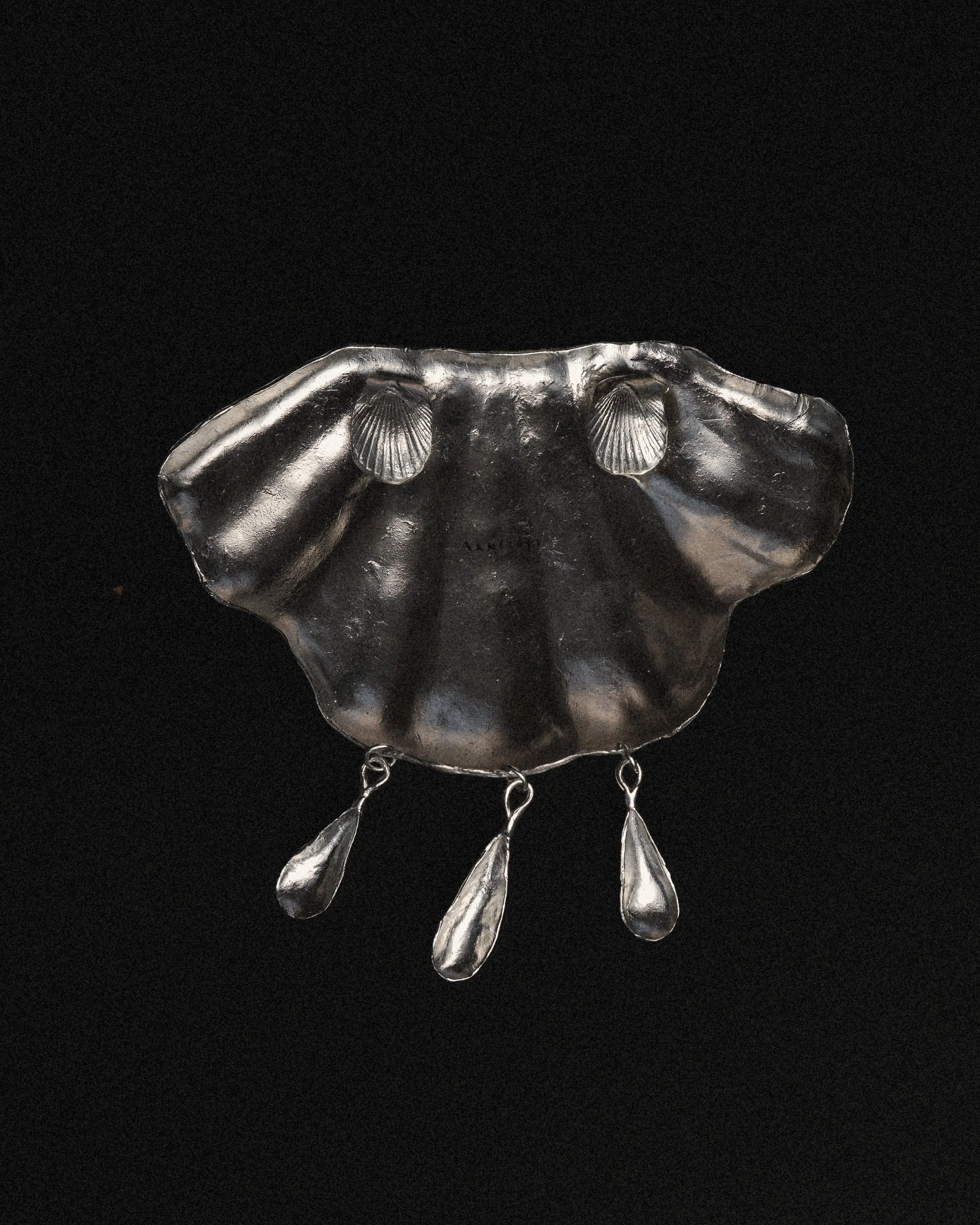 DSC05515 shell.jpg