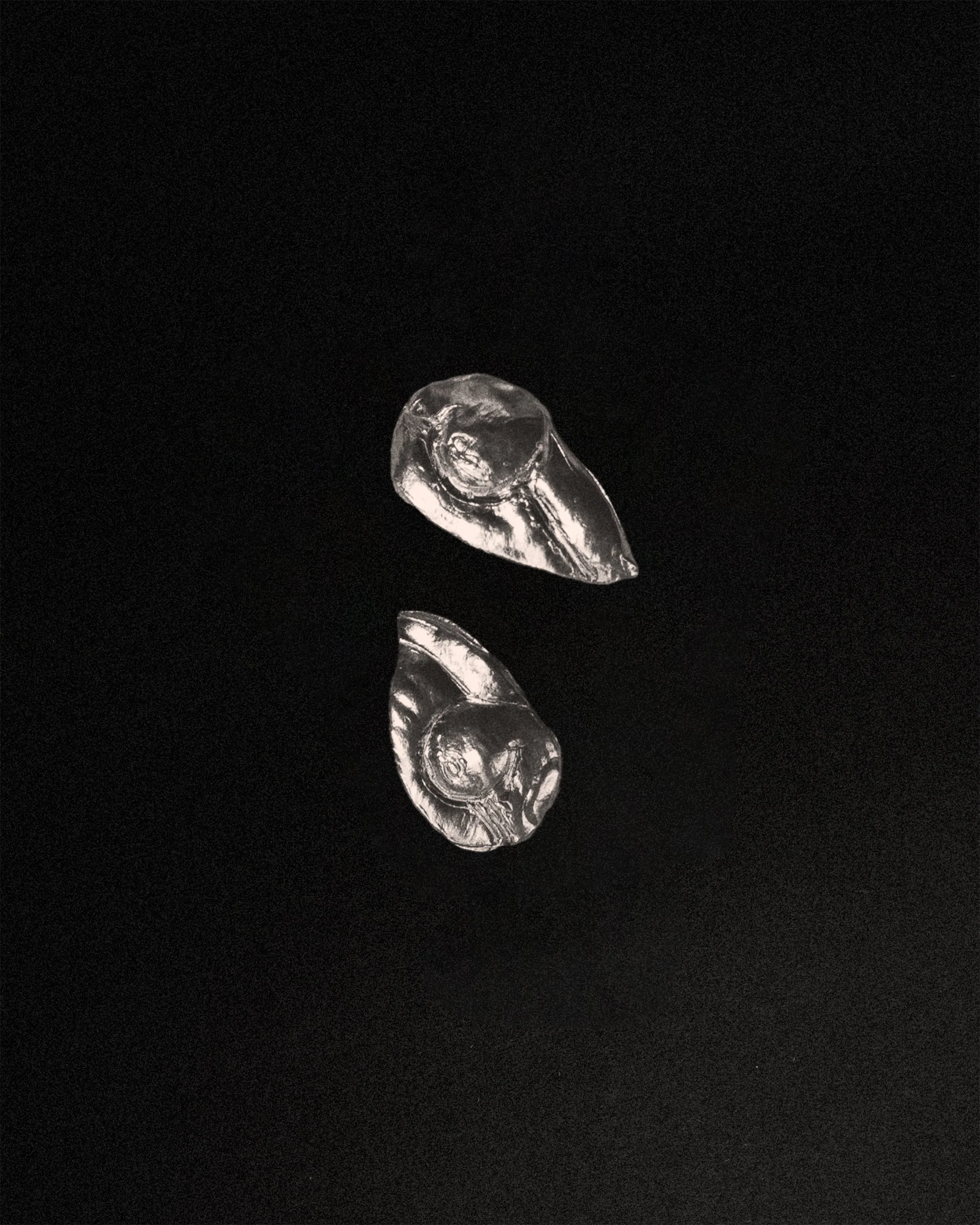 Swan Sterling Silver earrings