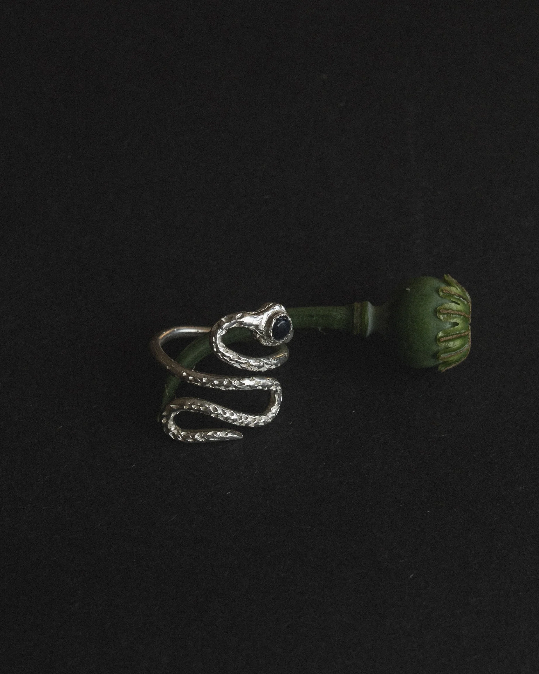 DSC05371 snake ring.jpg
