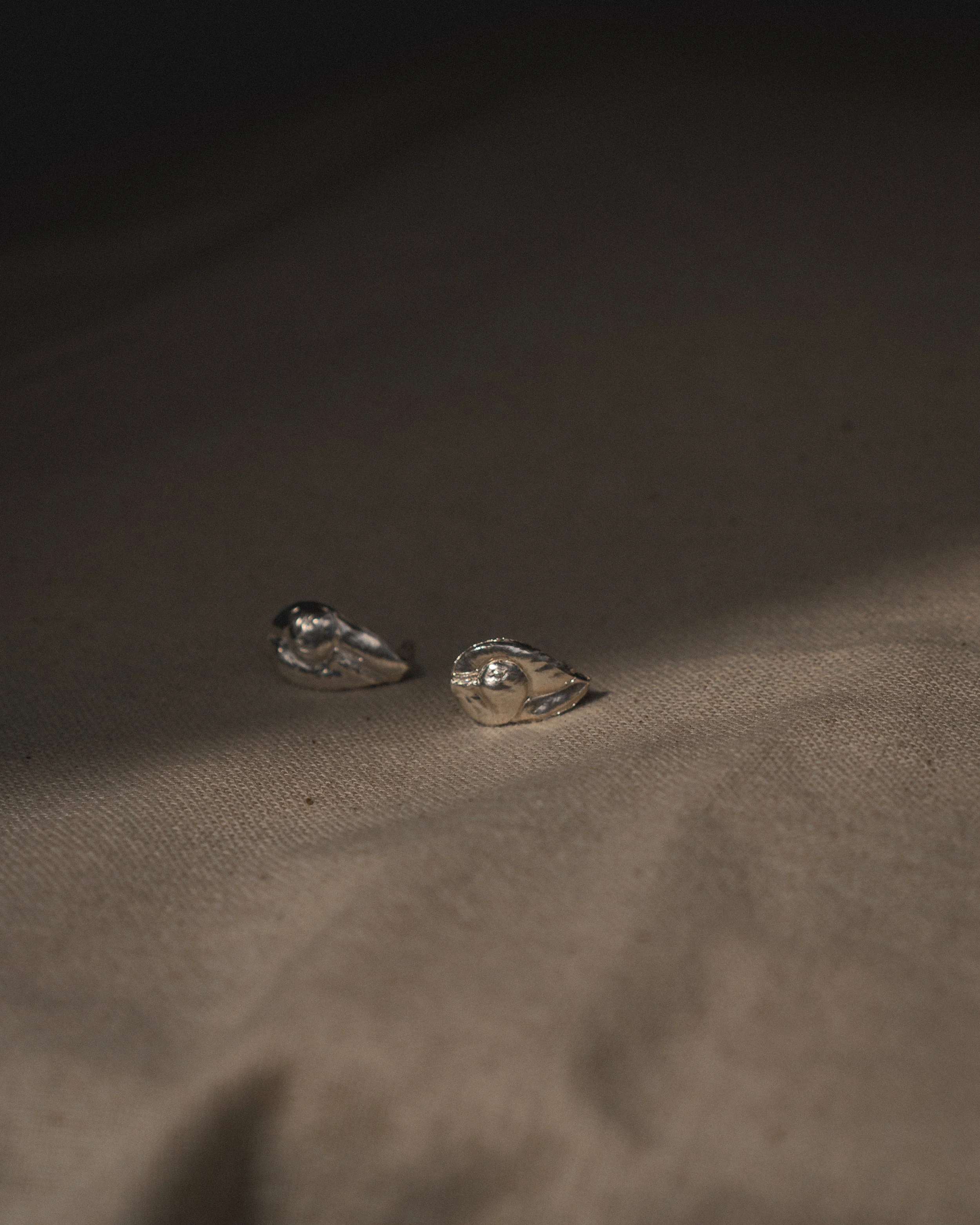 DSC06628 swan earrings.jpg