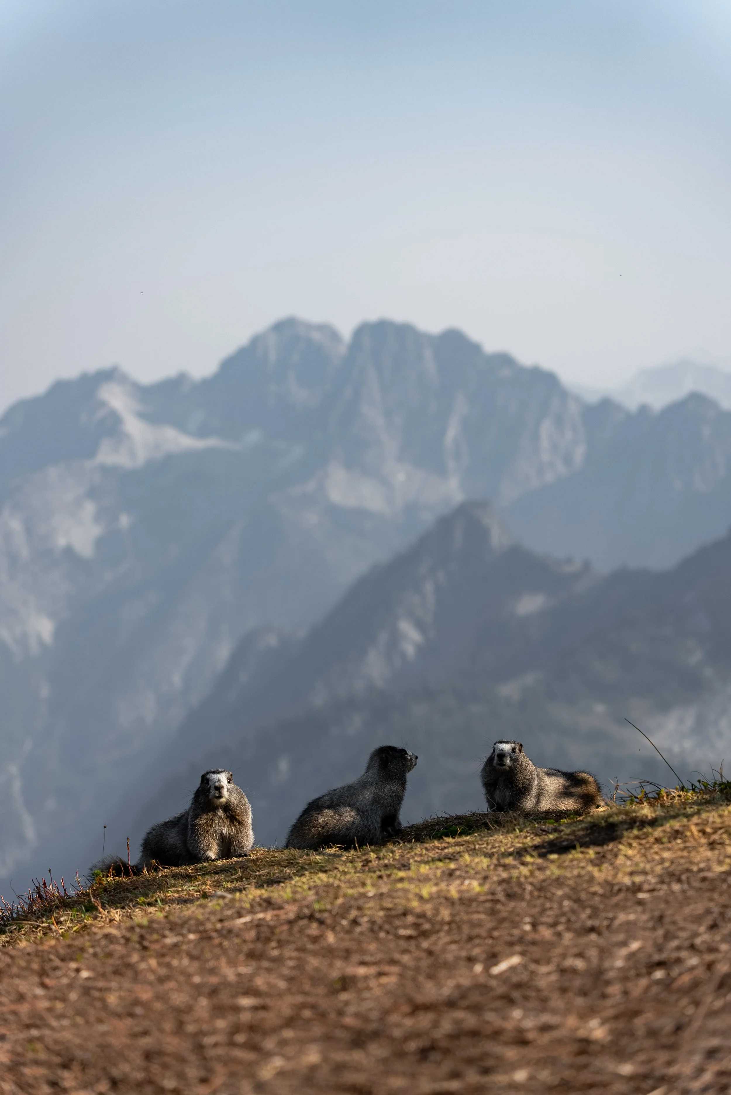 Sahale Arm - Pacific Northwest Road Trip Guide: 2-Week Campervan Itinerary for Washington and Oregon