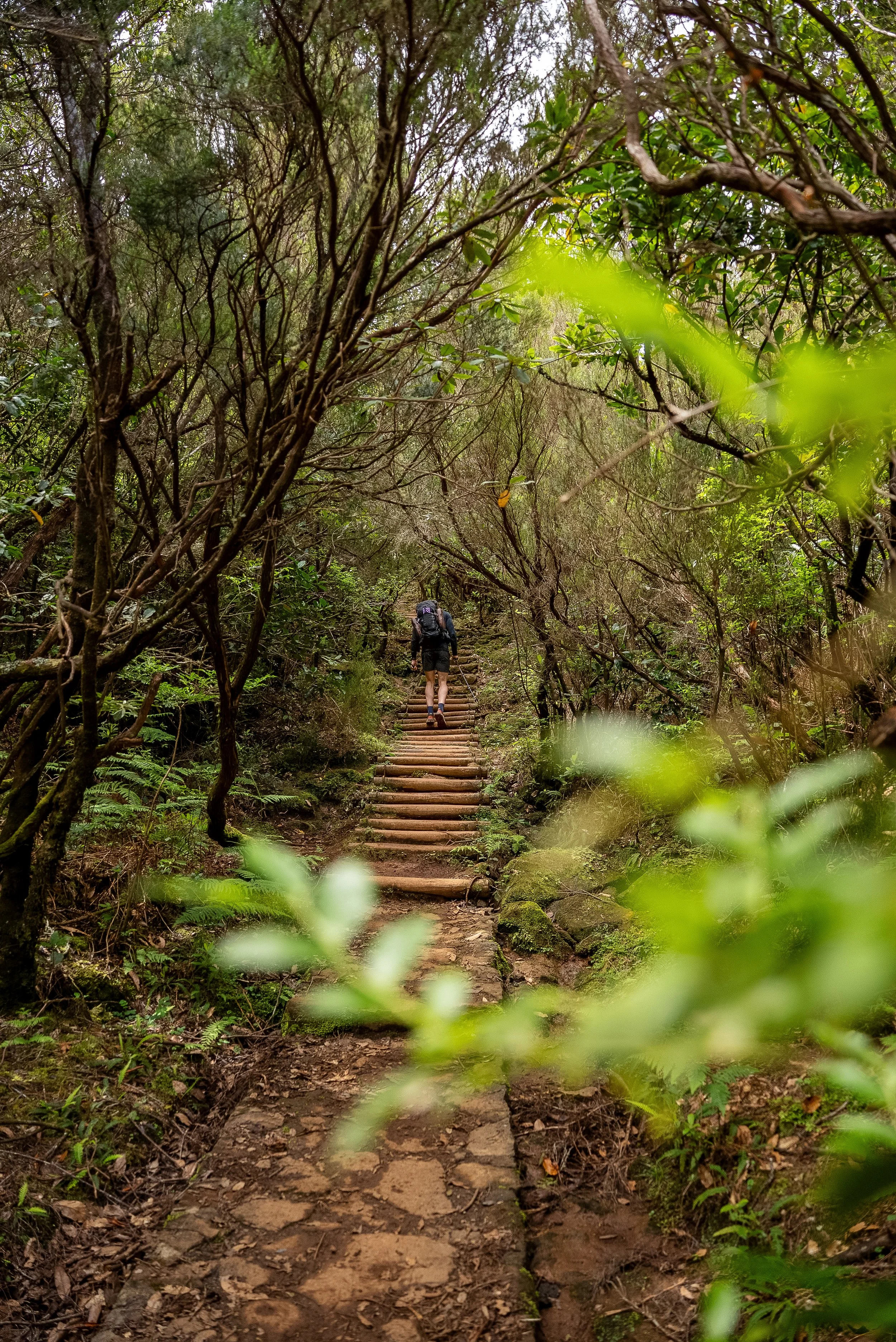 Day 1 Hiking Across Madeira from Ribeira da Janela