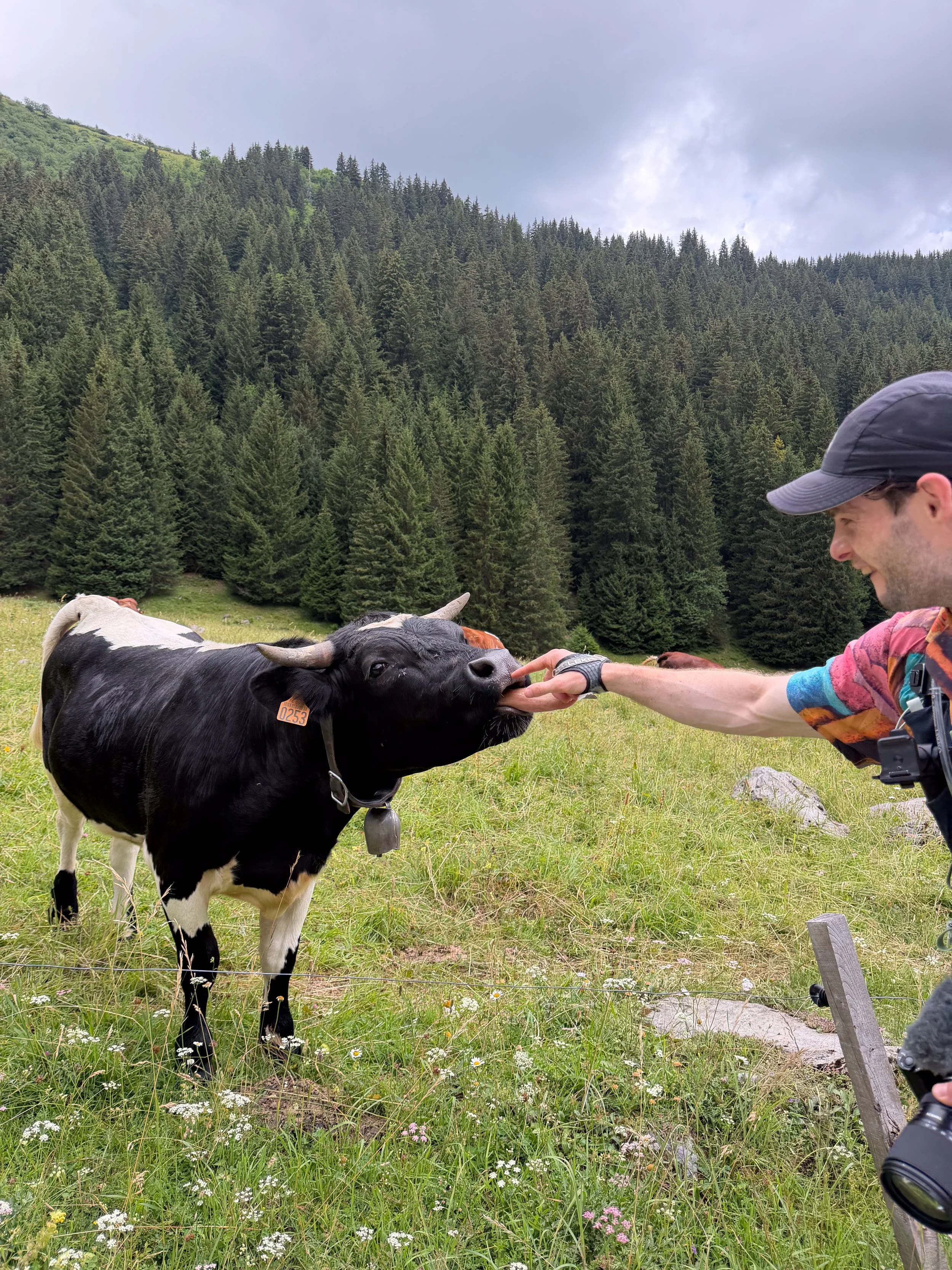 Hiking the Highlights of the Tour du Mont Blanc: Day 1 - Les Contamines to Les Chapieux