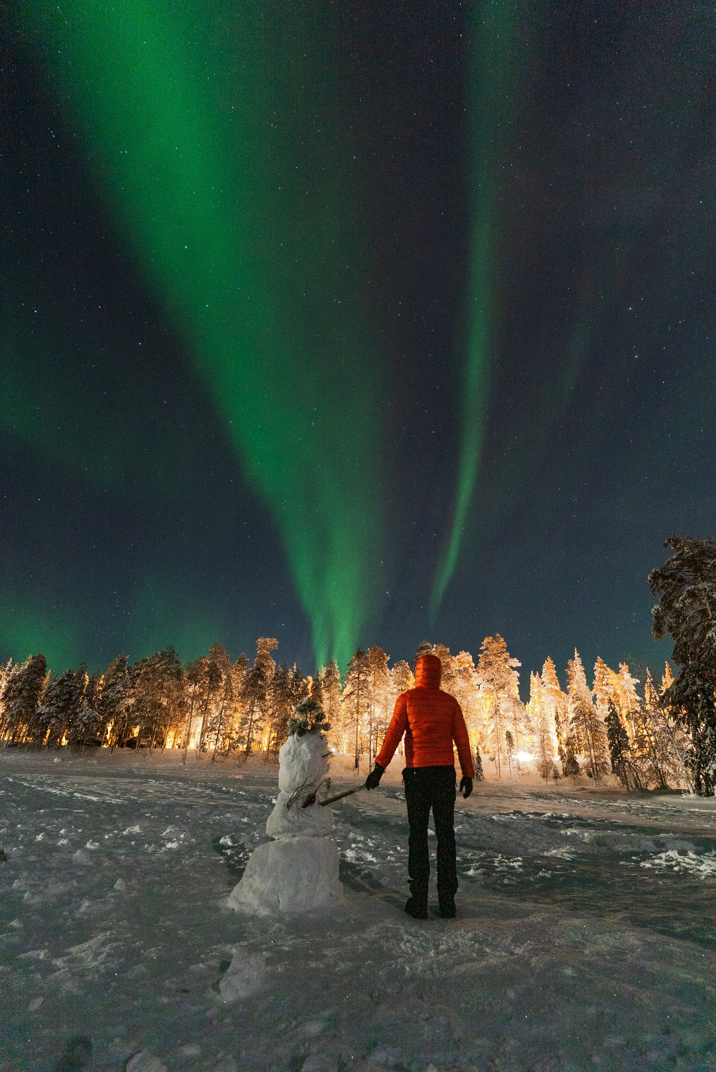 Northern Lights above snow-covered trees in Luosto, Finnish Lapland