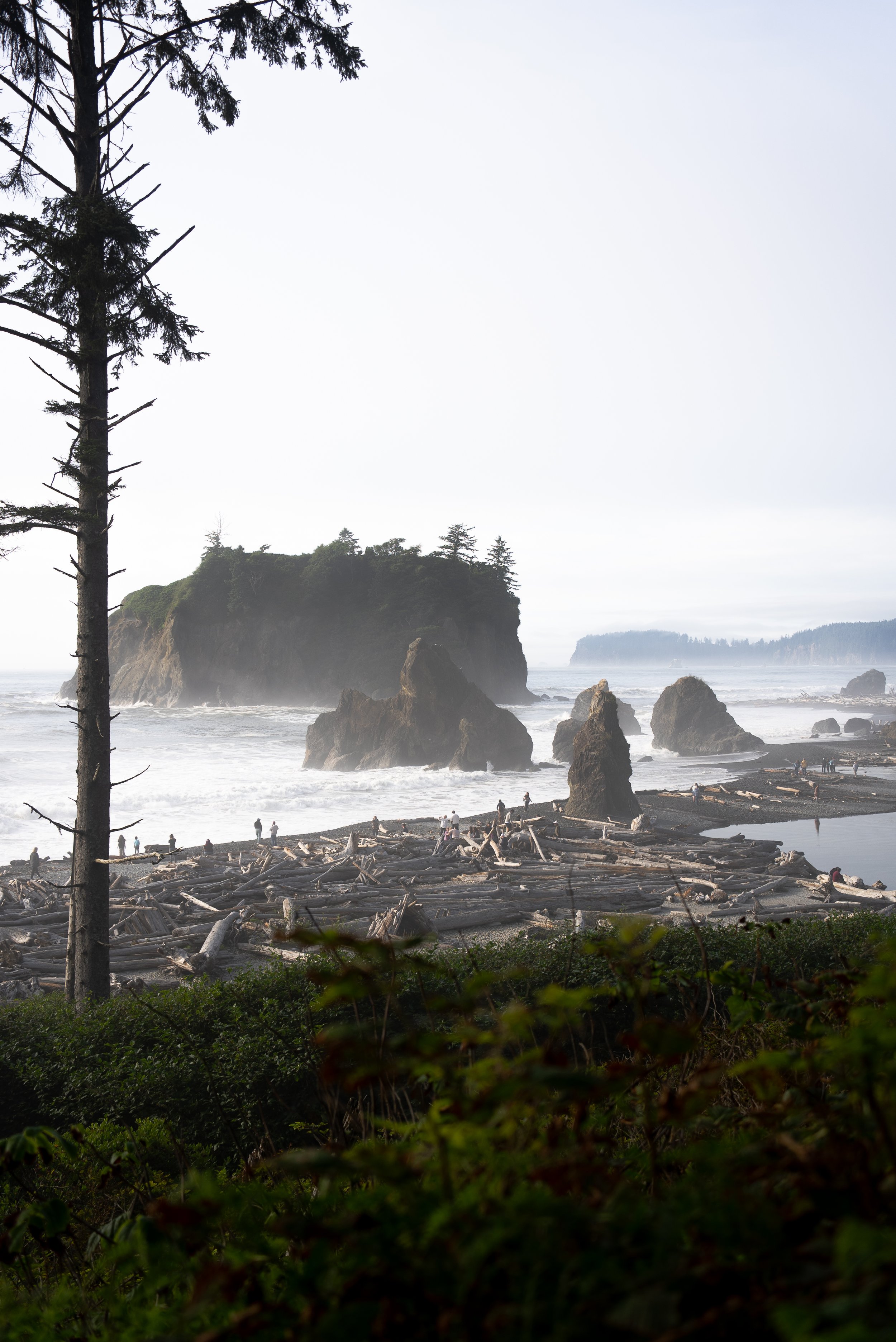 Ruby beach, Olympic national Park, Washington, a must visit stop on a Pacific Northwest road trip