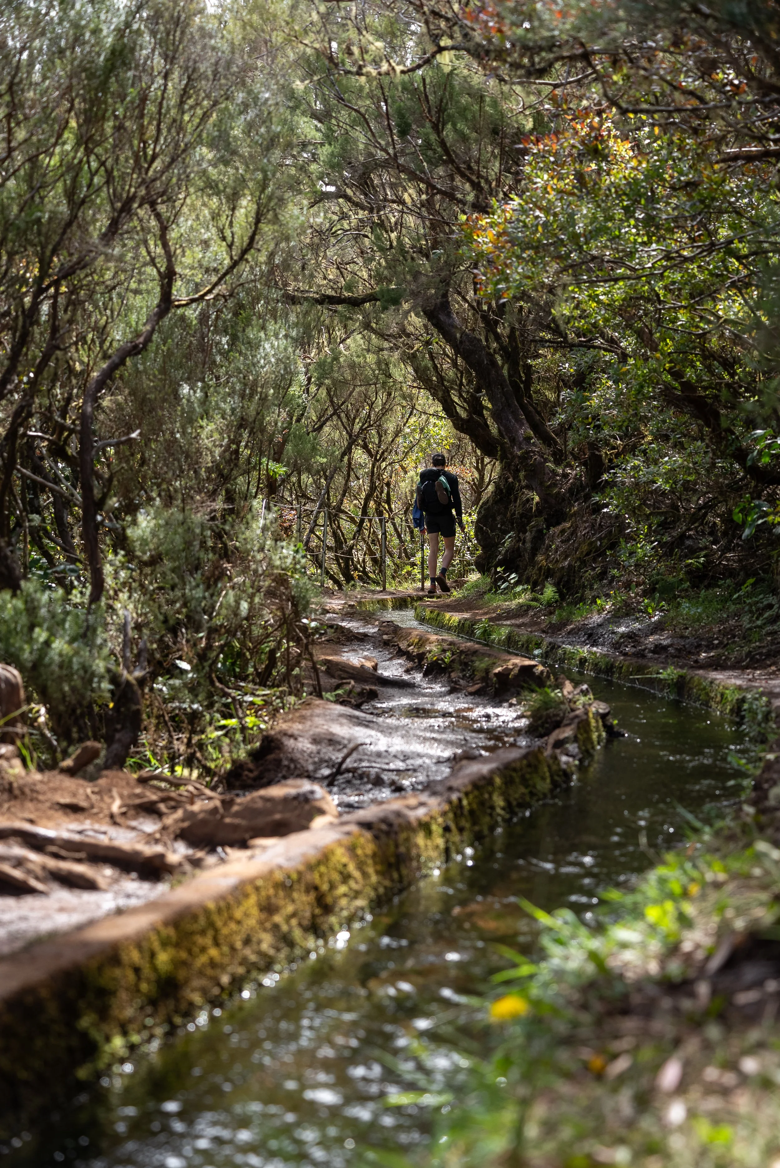 Day 1 Hiking Across Madeira - Rabacal