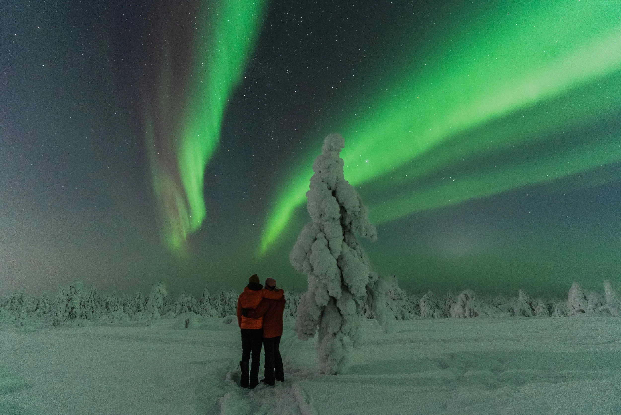 A Magical 7-Day Adventure in Finnish Lapland: Northern Lights, Huskies, Reindeer &amp; More