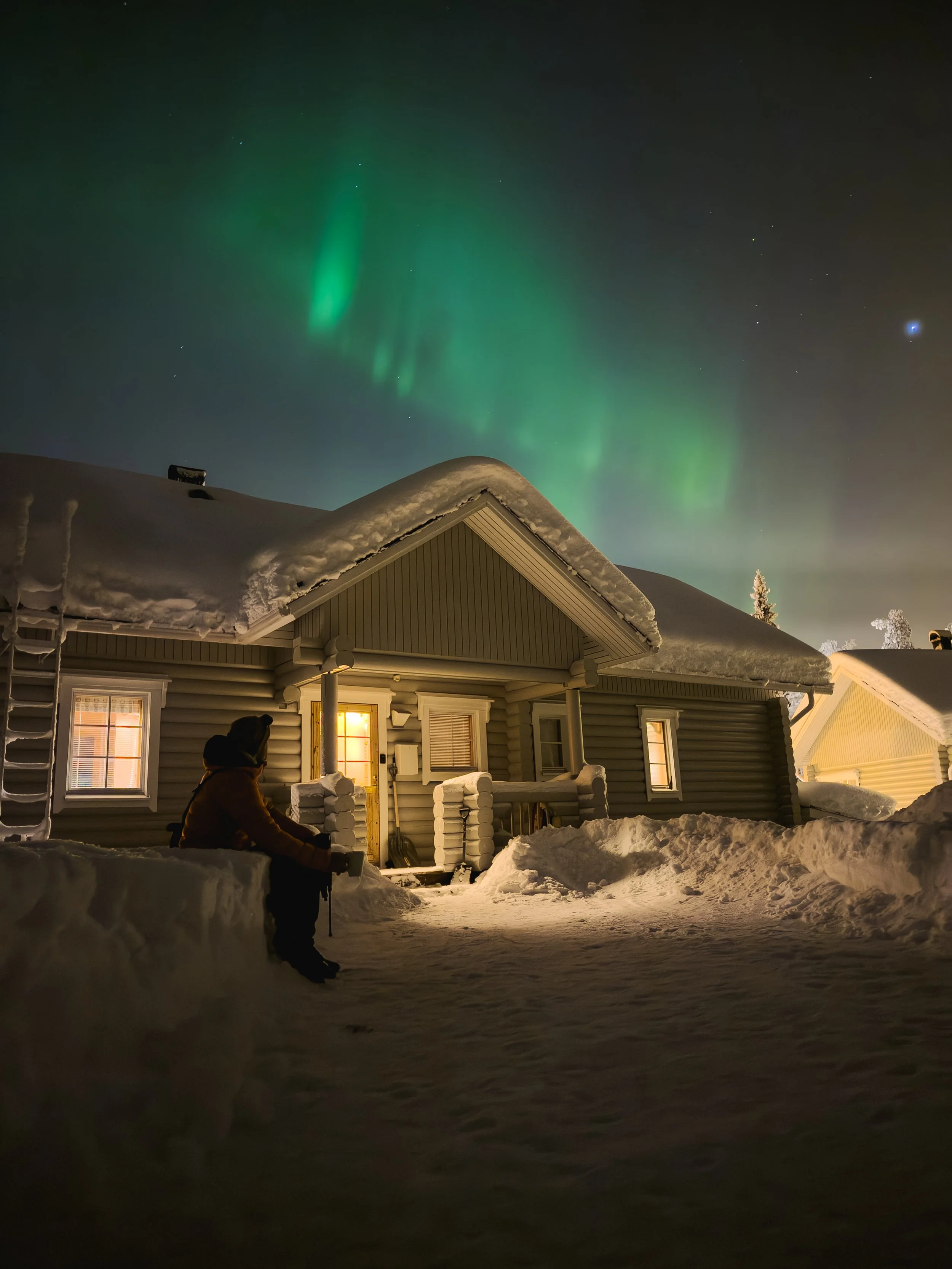 Northern Lights above snow-covered trees in Luosto, Finnish Lapland