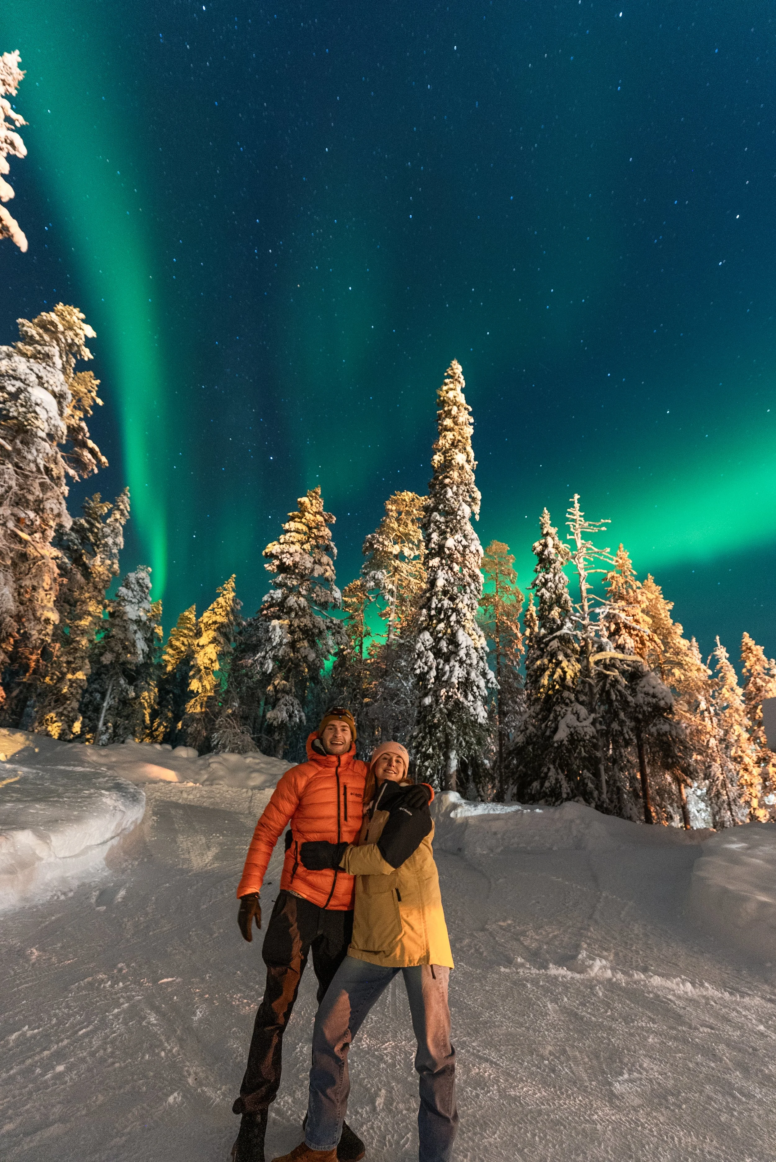 Northern Lights above snow-covered trees in Luosto, Finnish Lapland