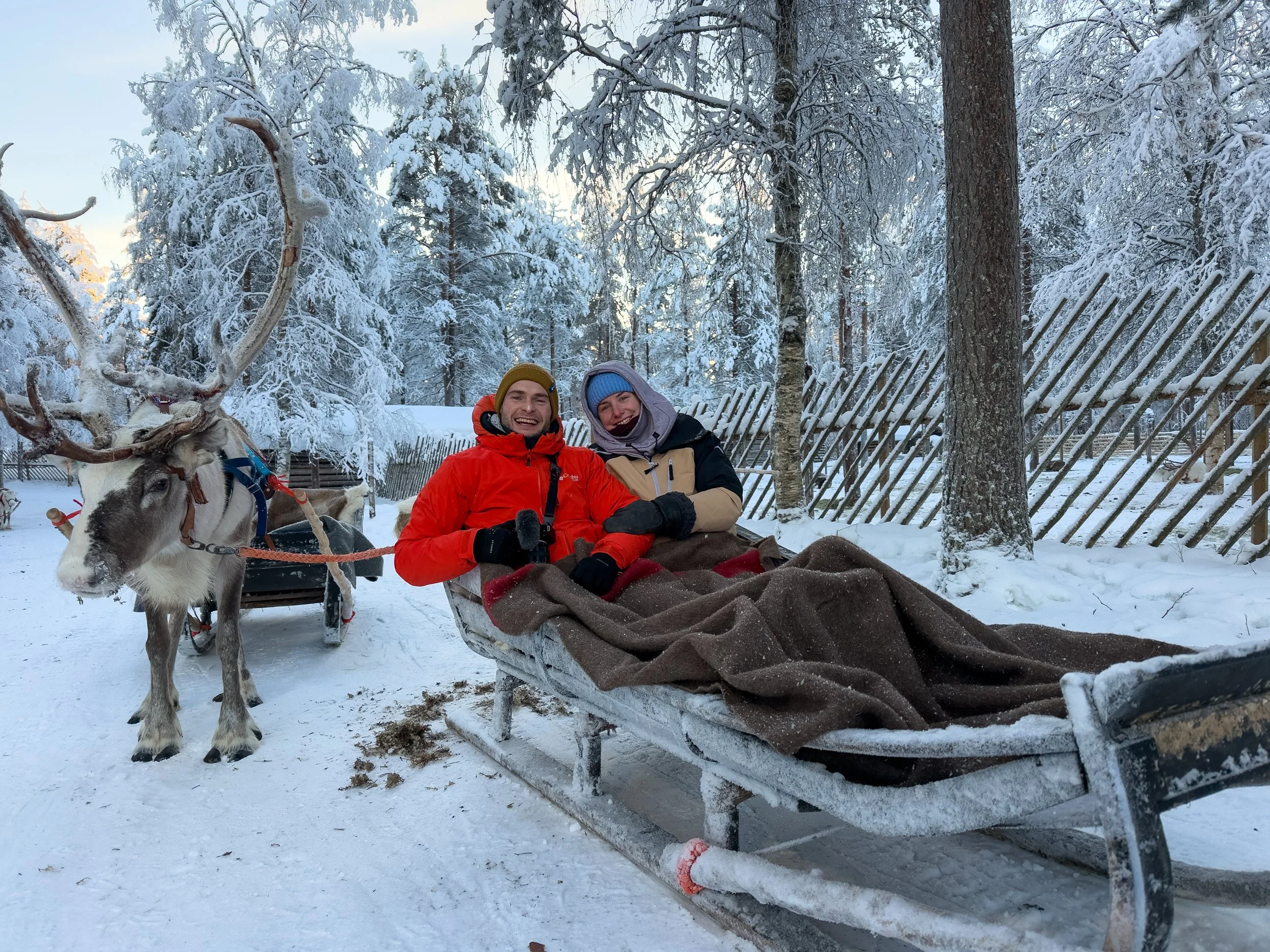 Reindeer sleigh ride through winter forest in Finnish Lapland