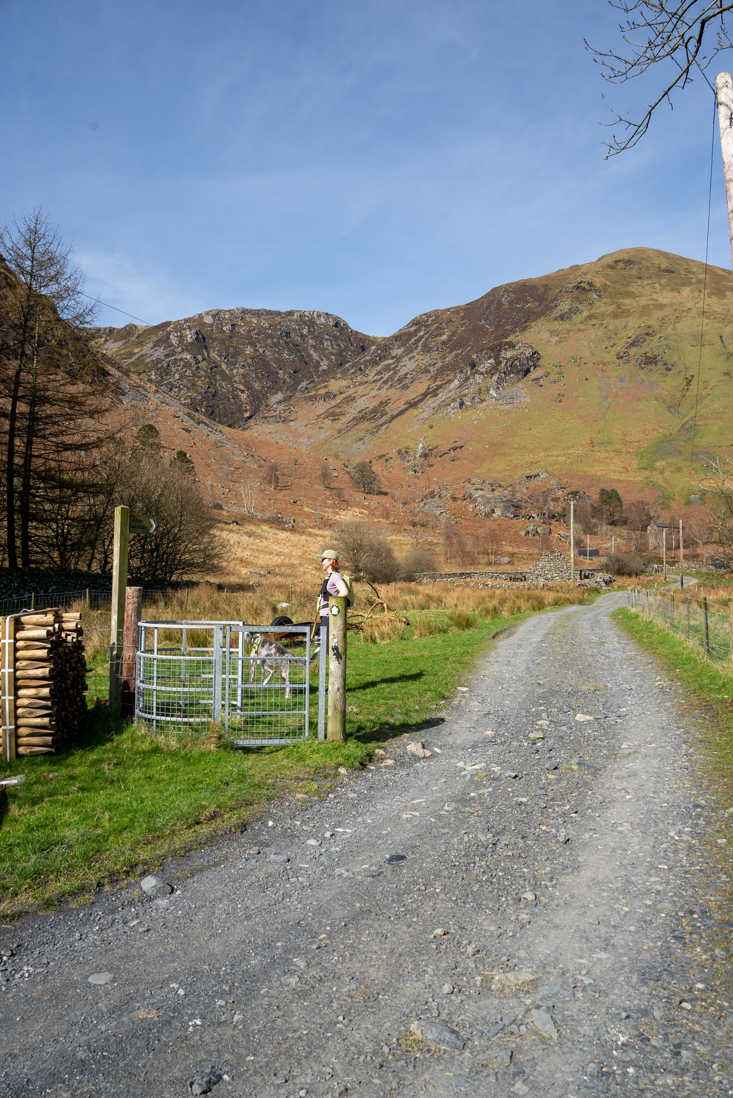 Aran Fawddwy Hike, Snowdonia National Park