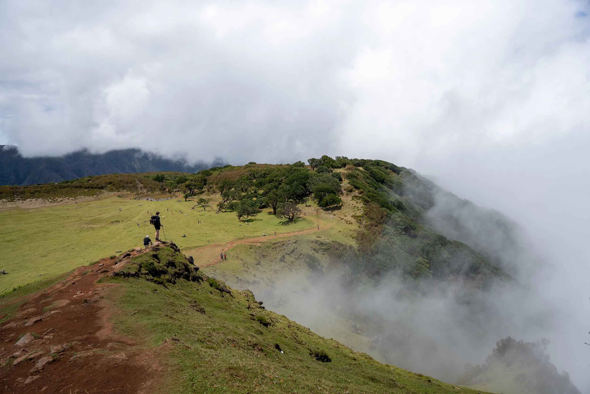 Day 1 Hiking Across Madeira - Fanal Forest