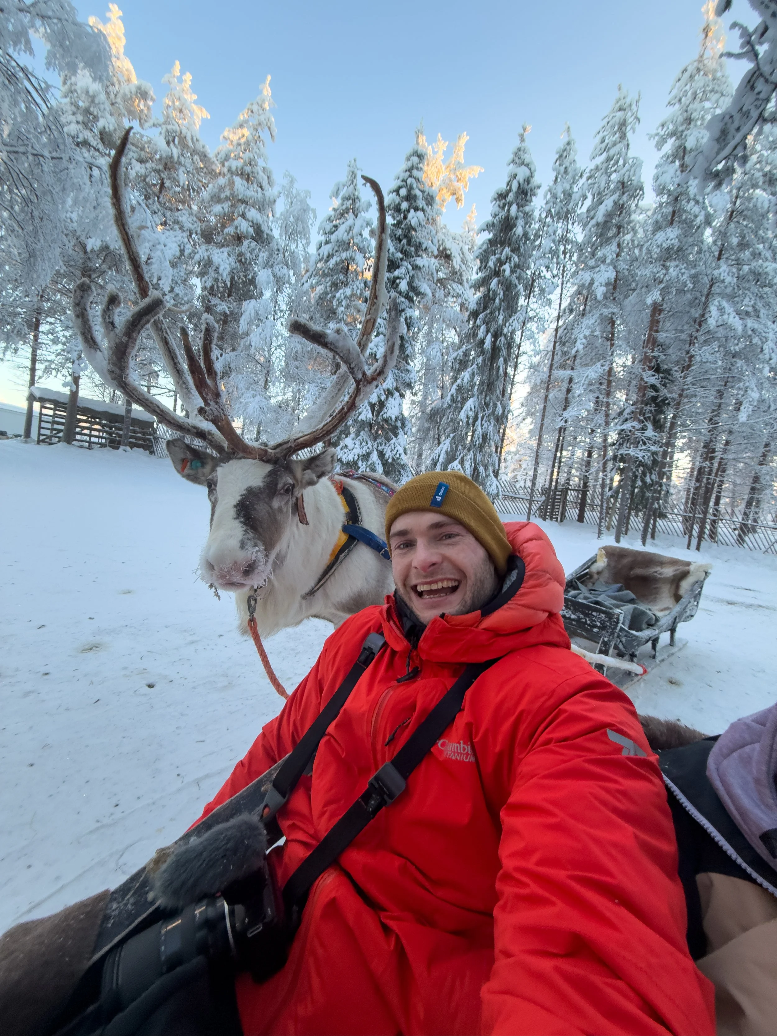 Reindeer sleigh ride through winter forest in Finnish Lapland