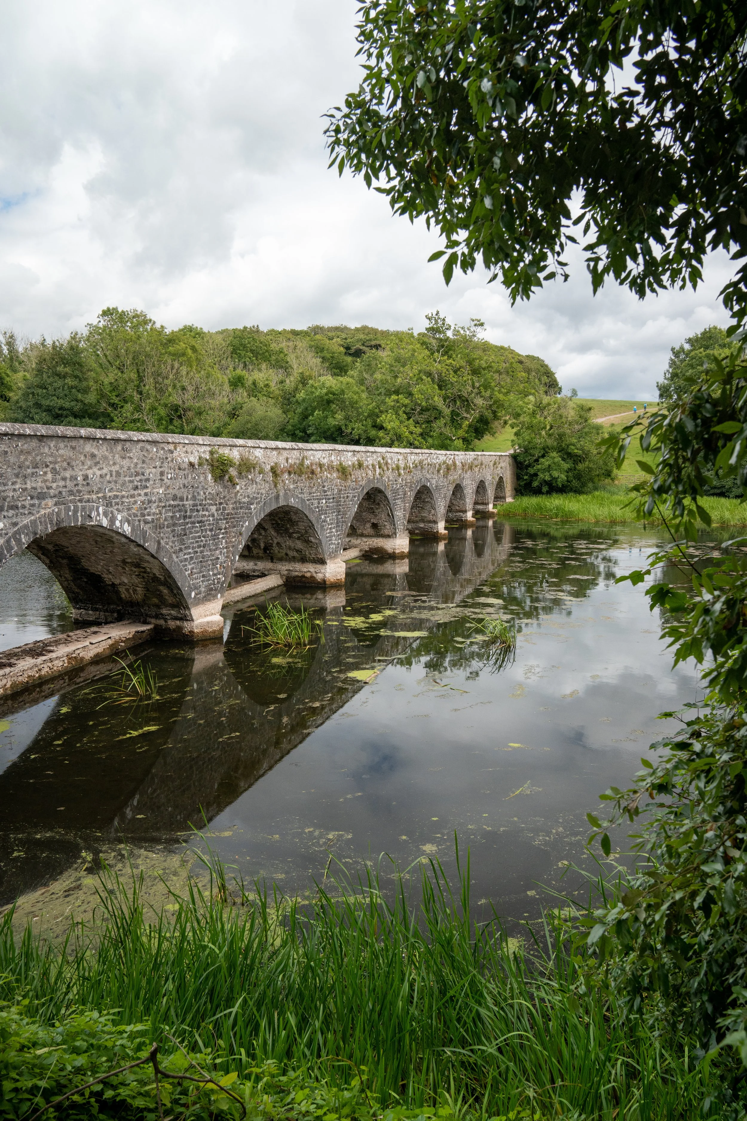 Bosherston Lily Ponds, Broadhaven South, & Barafundle Bay ...