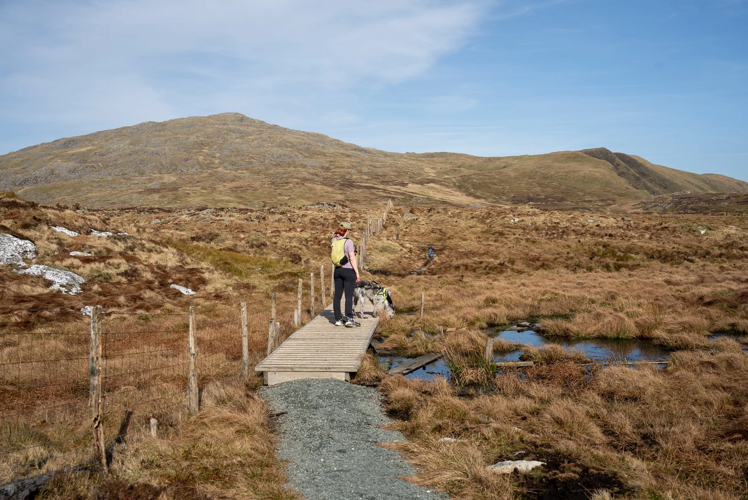 Aran Fawddwy Hike, Snowdonia National Park