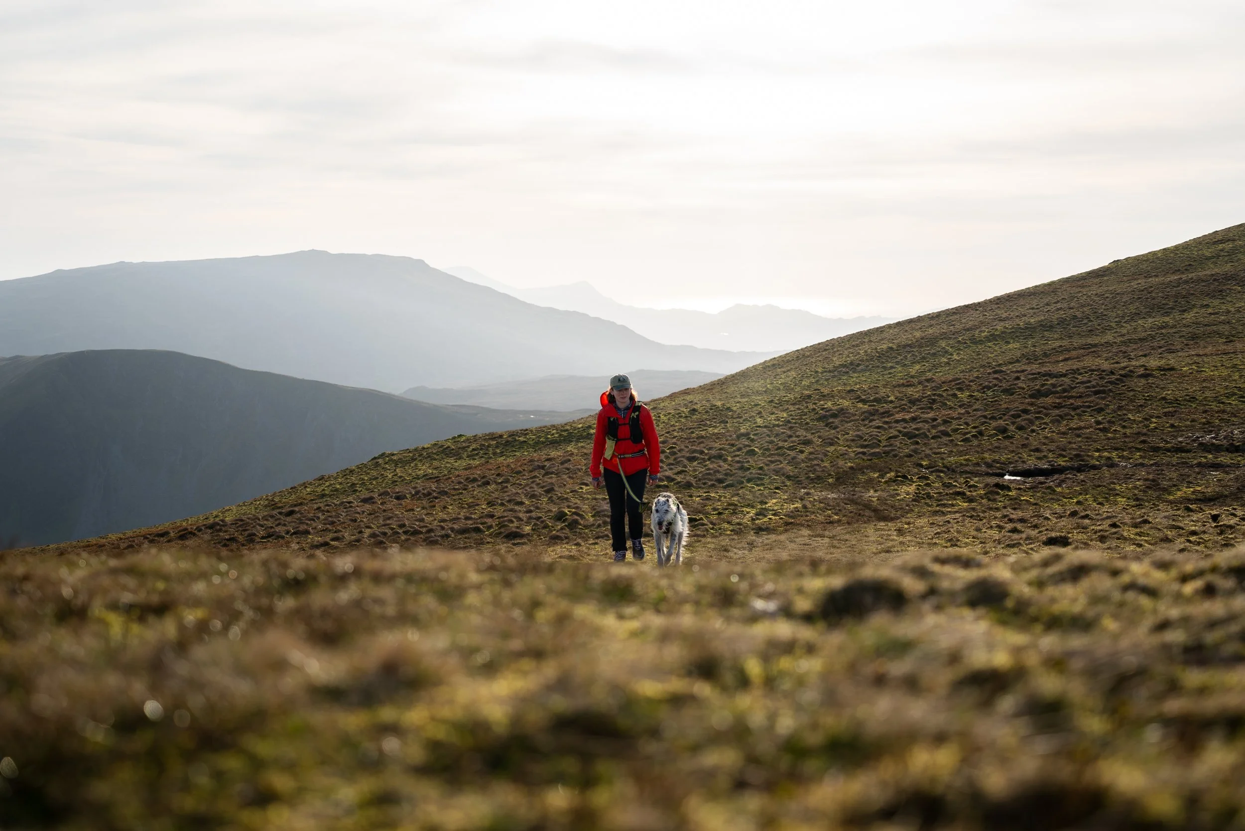 Aran Fawddwy Hike, Southern Snowdonia