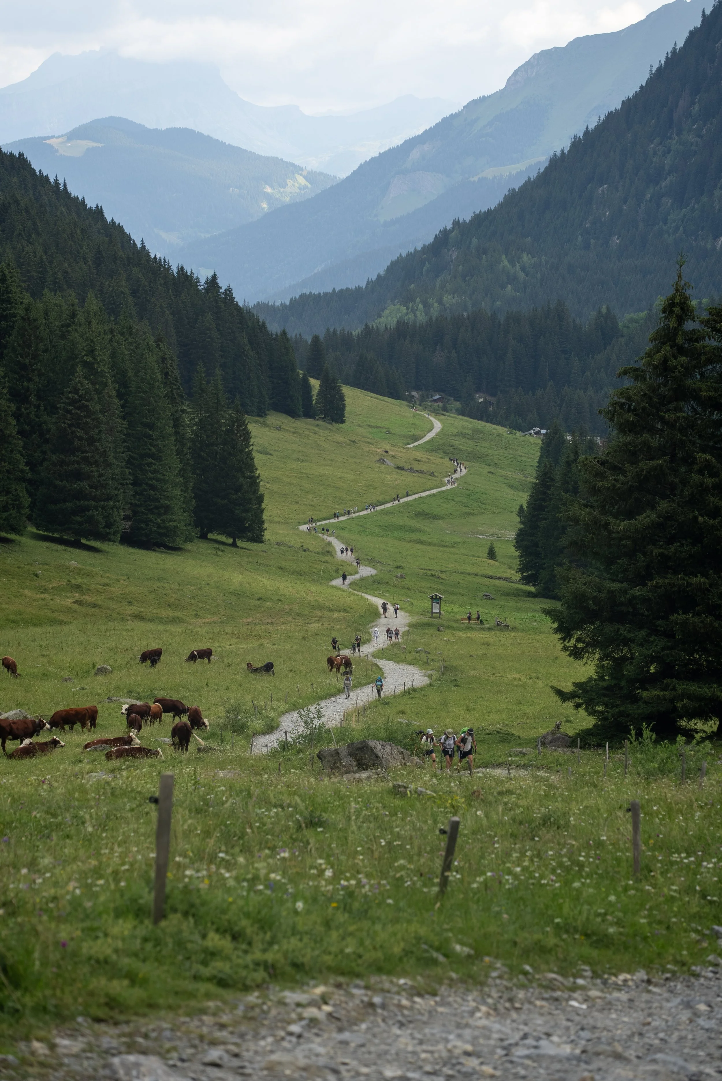 Hiking the Highlights of the Tour du Mont Blanc: Day 1 - Les Contamines to Les Chapieux