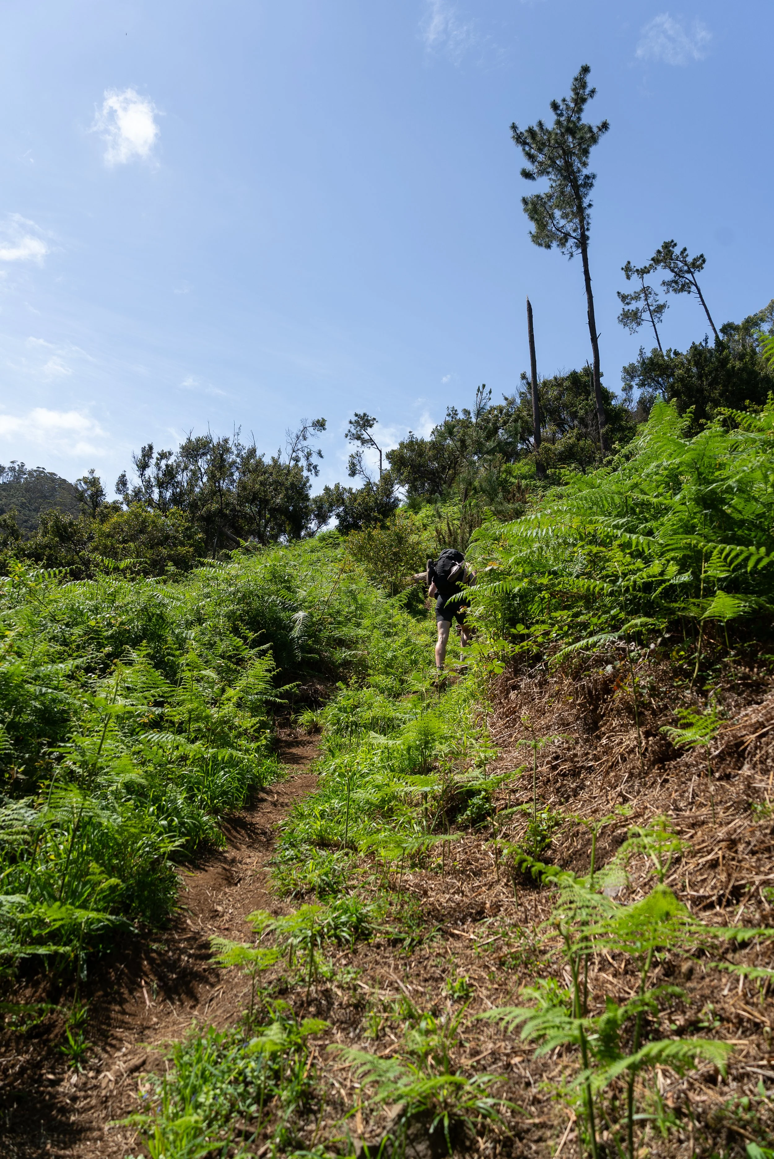 Day 5 Hiking Across Madeira, Eagle’s Nest