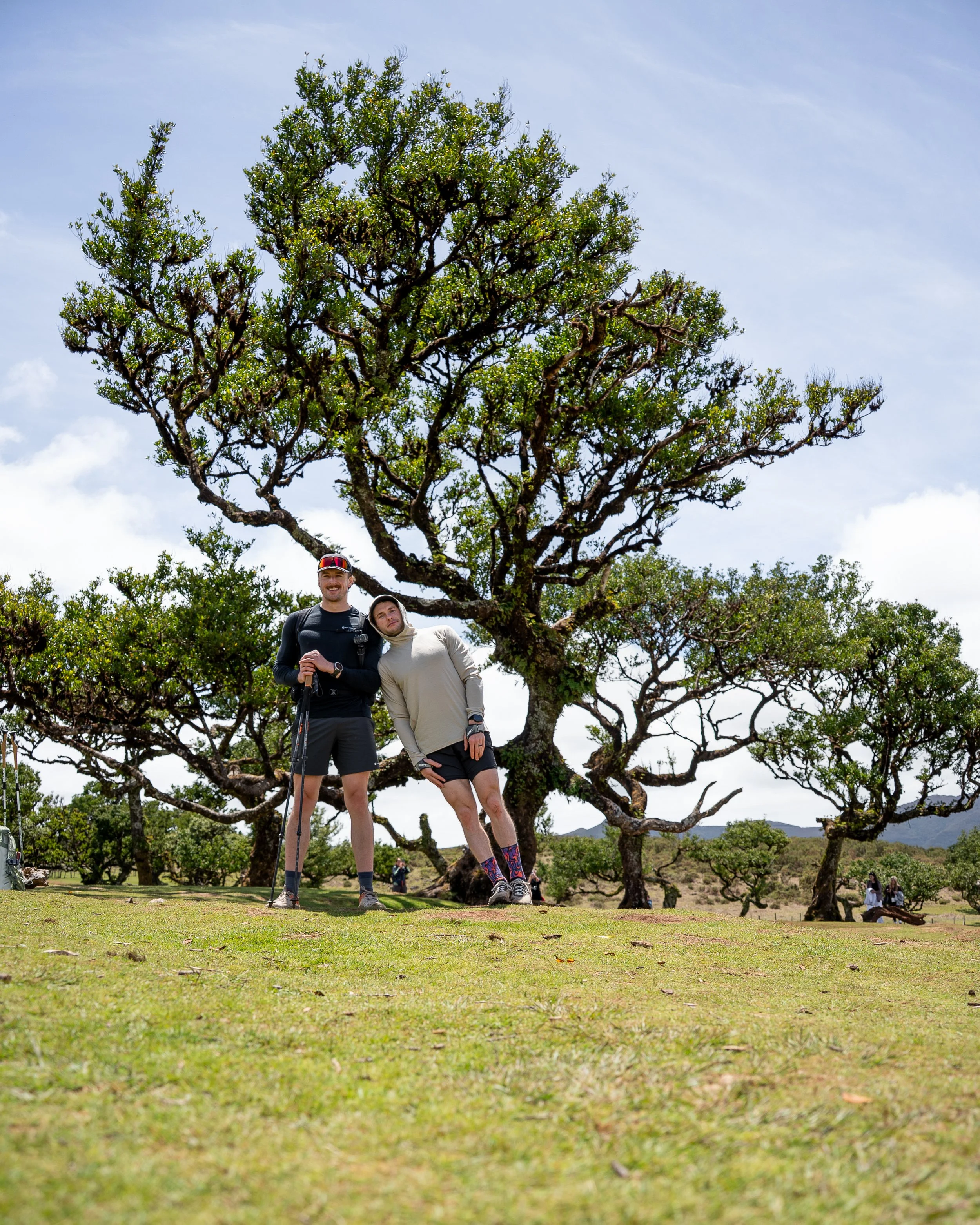 Day 1 Hiking Across Madeira - Fanal Forest