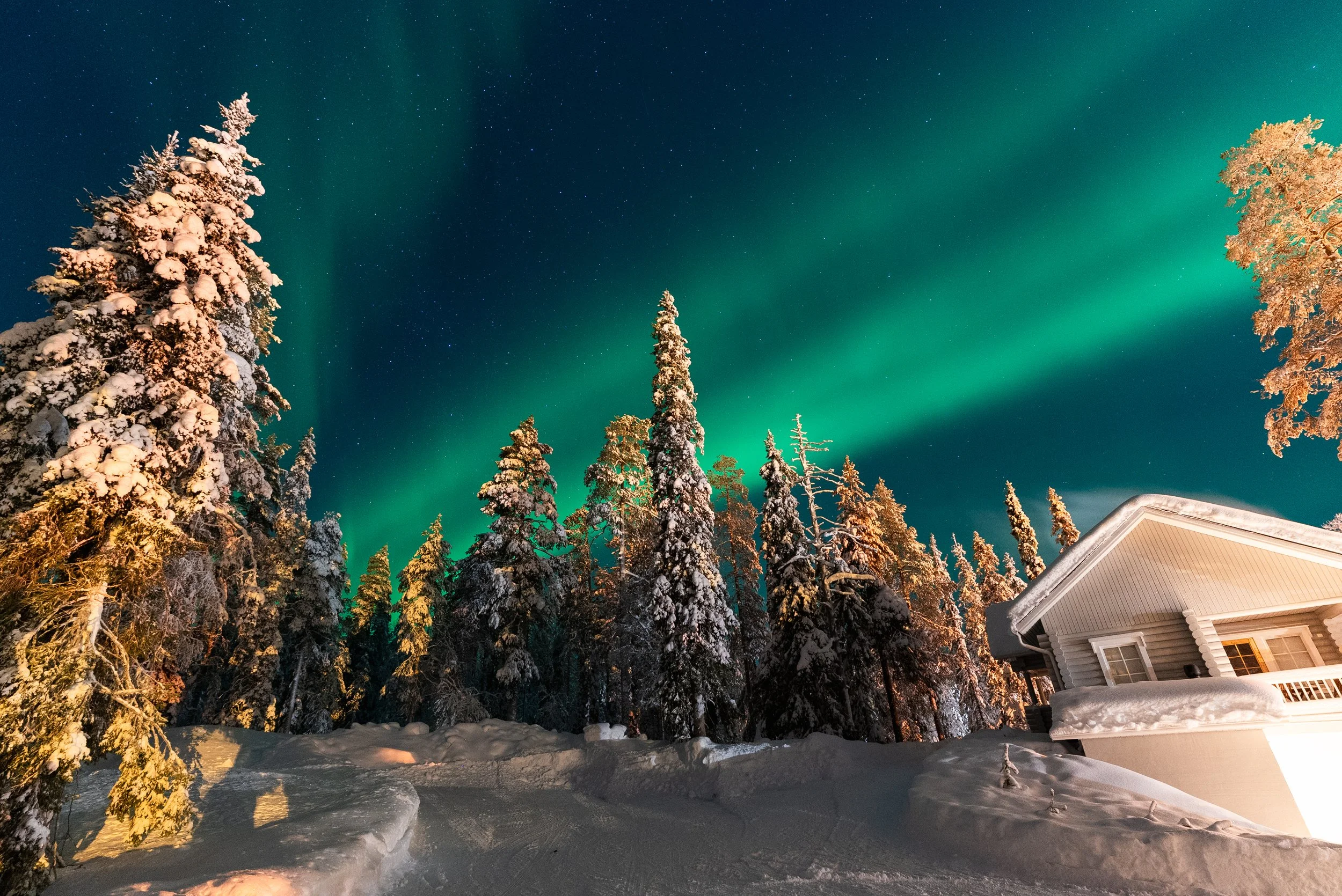 Northern Lights above snow-covered trees in Luosto, Finnish Lapland
