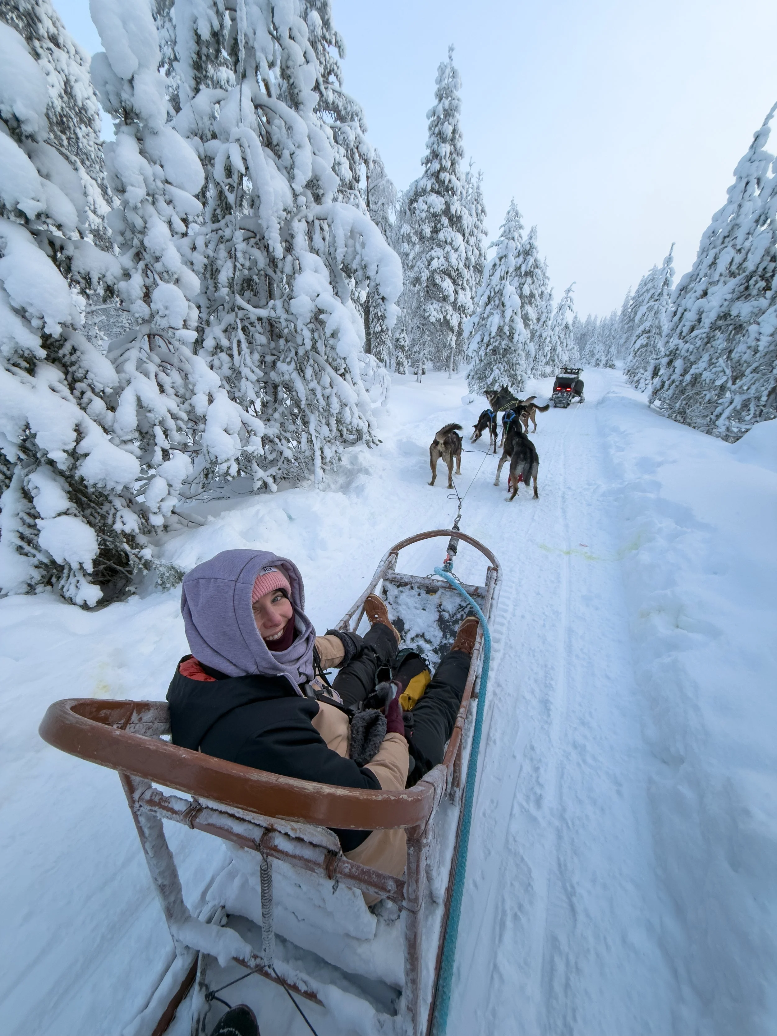 Husky sledding through snowy forests in Finnish Lapland