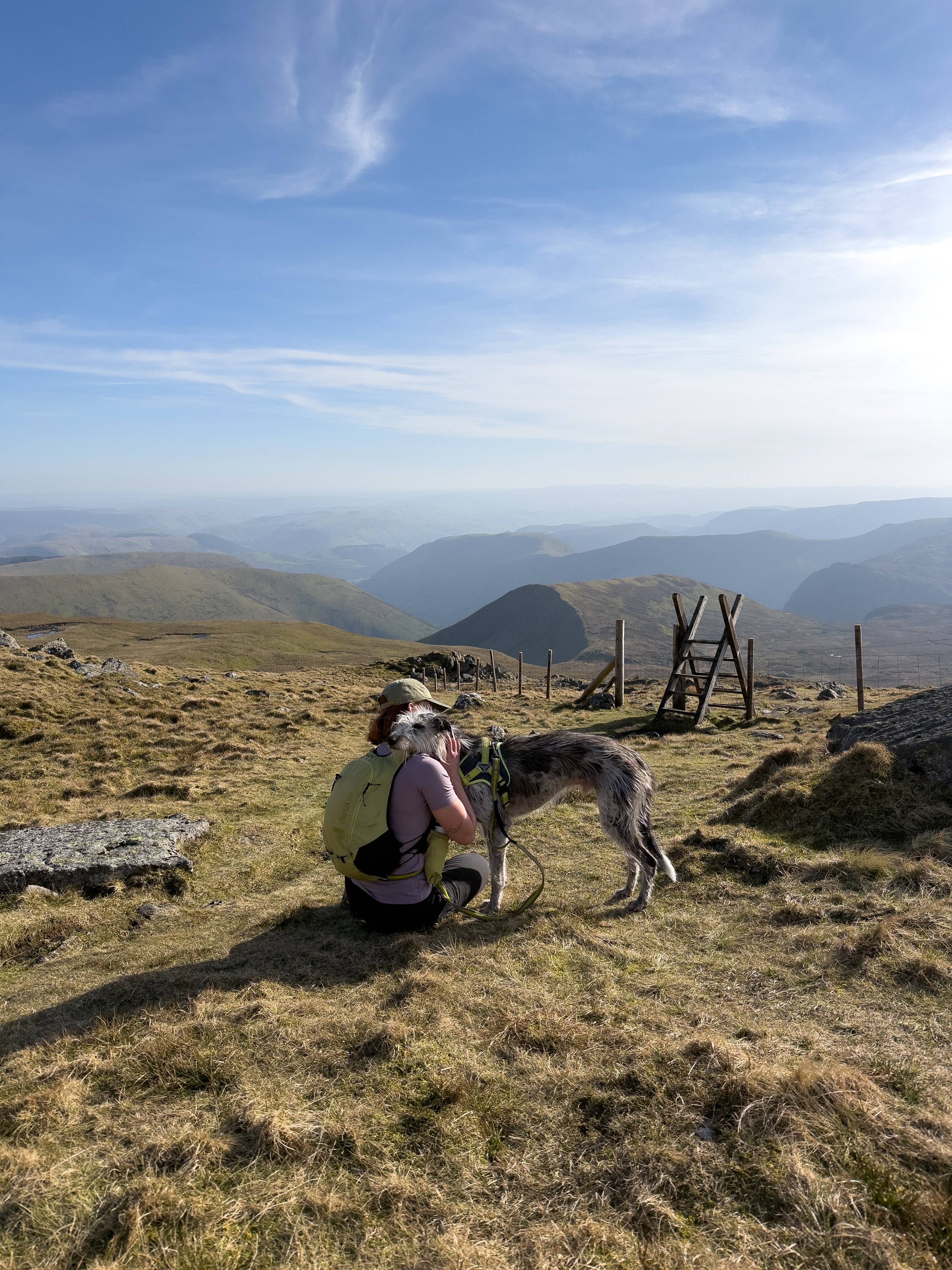 Aran Fawddwy, Snowdonia National Park