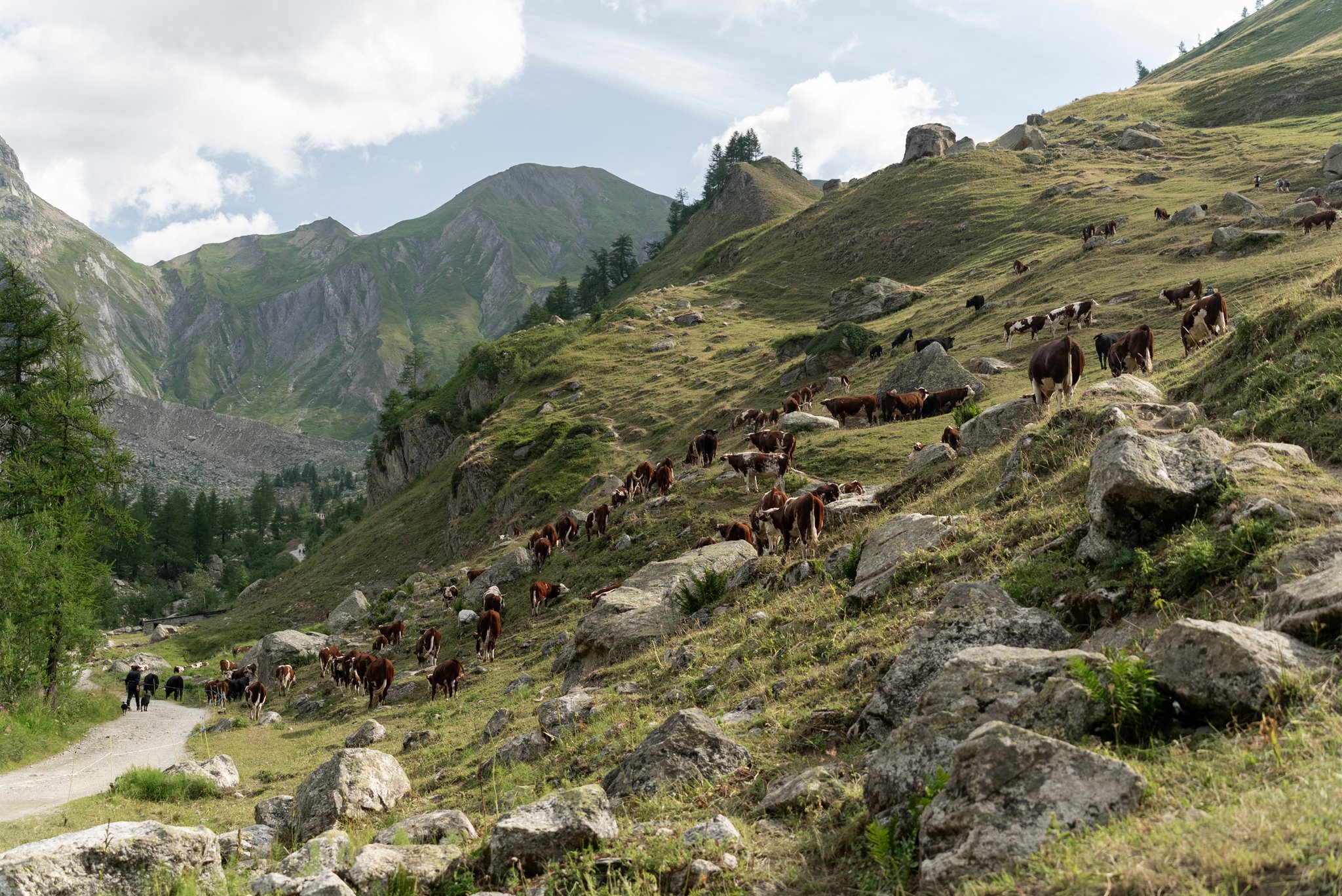 Hiking the Highlights of the Tour du Mont Blanc: Day 3 - Val Ferret to La Fouly