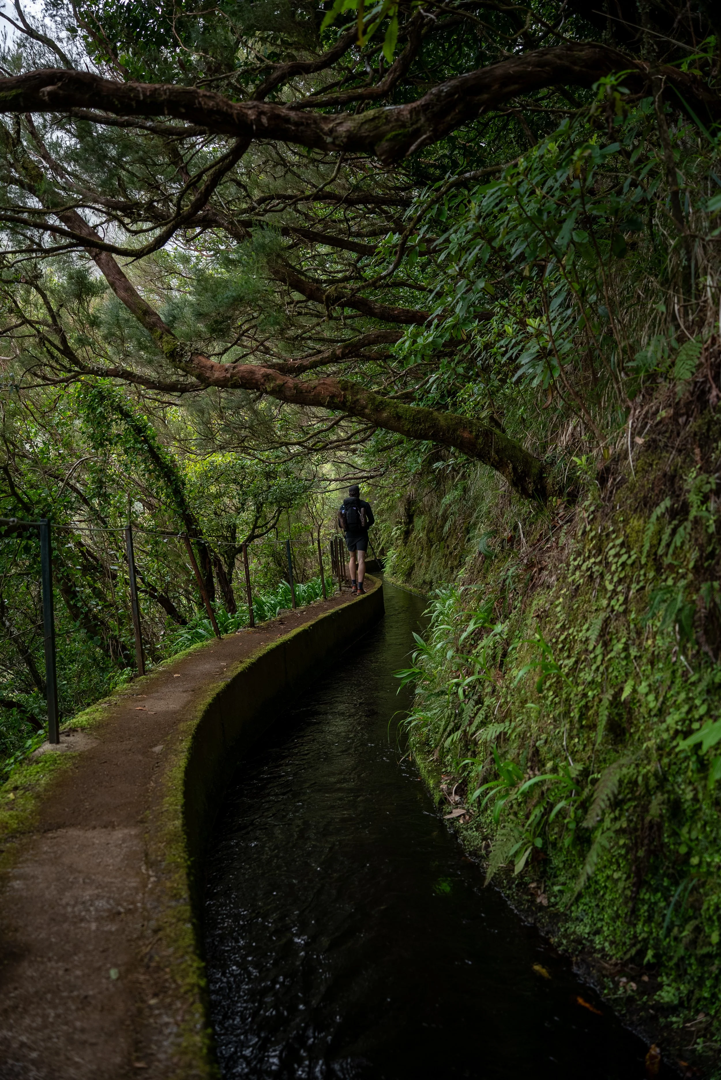 Day 2 Hiking Across Madeira, Levada