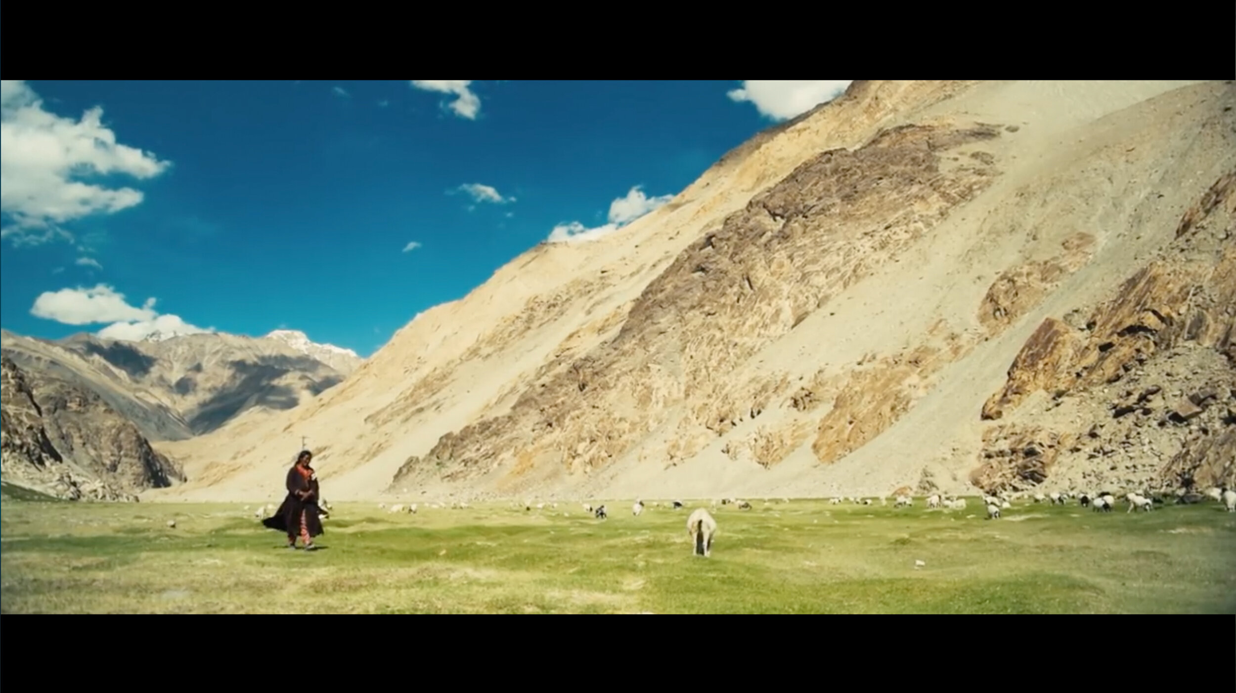 SIUTrailer_Filmstrip_3.jpg