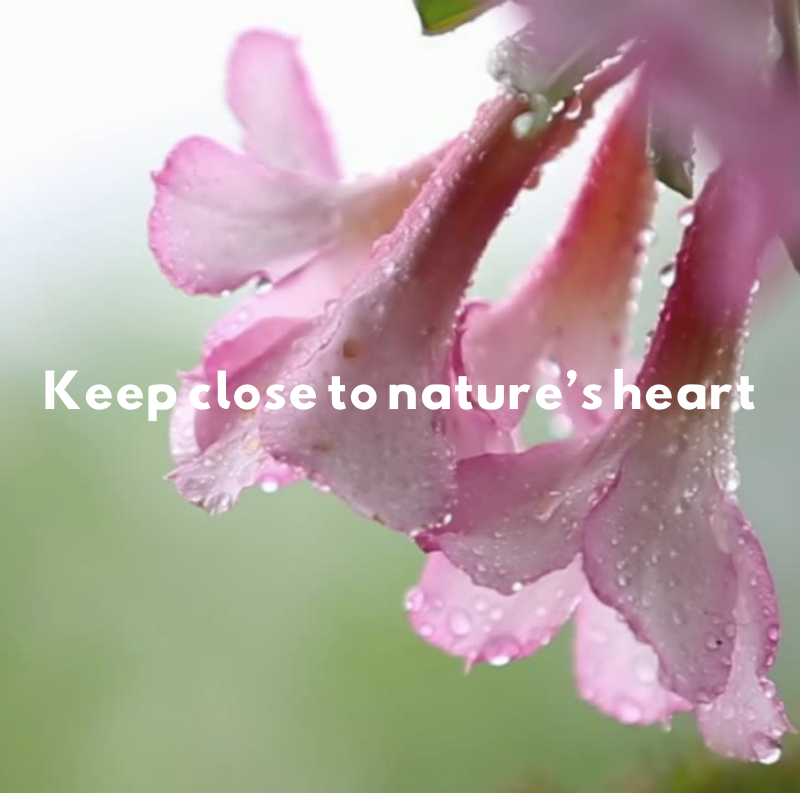 Stay close!🌸