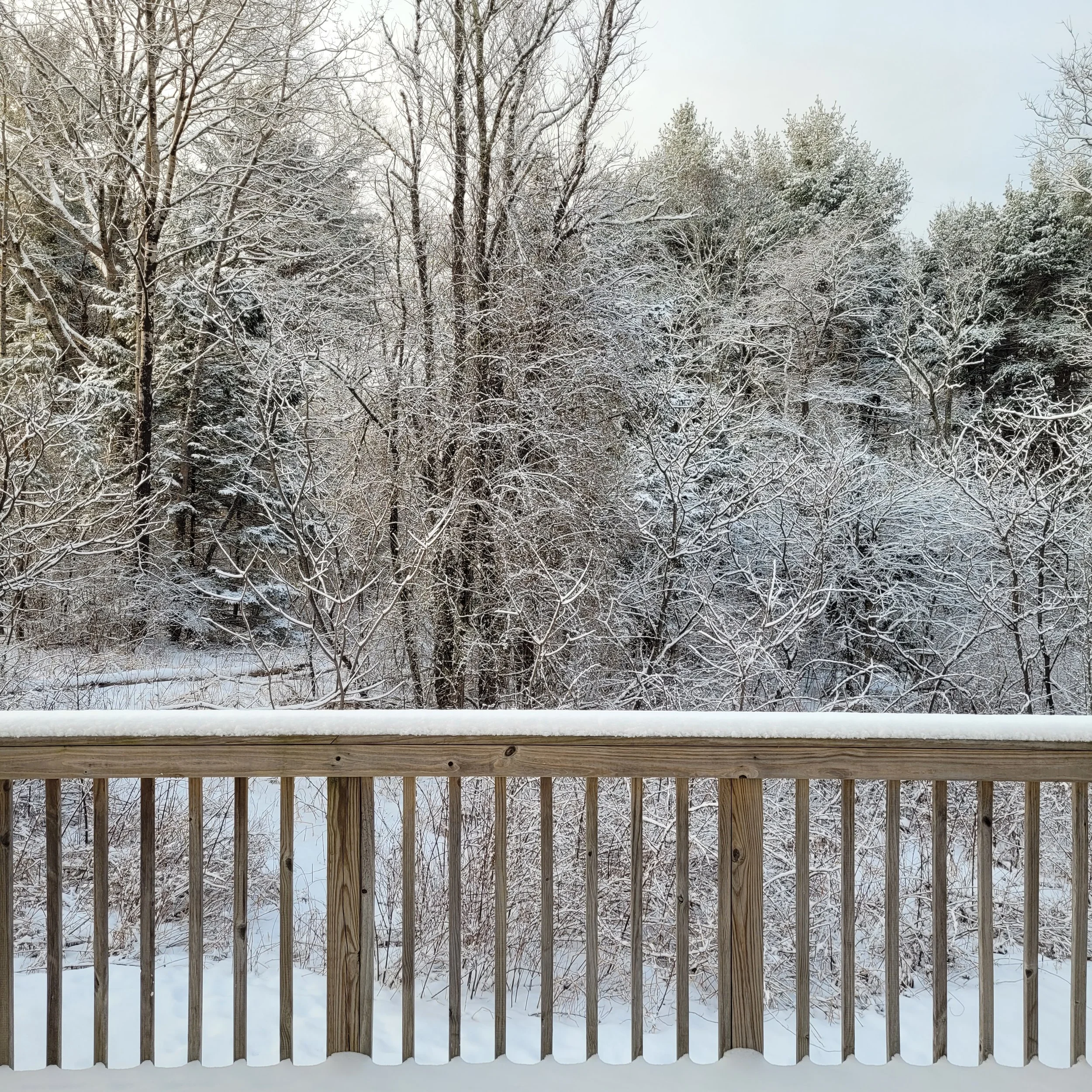 Fellowship Reflections