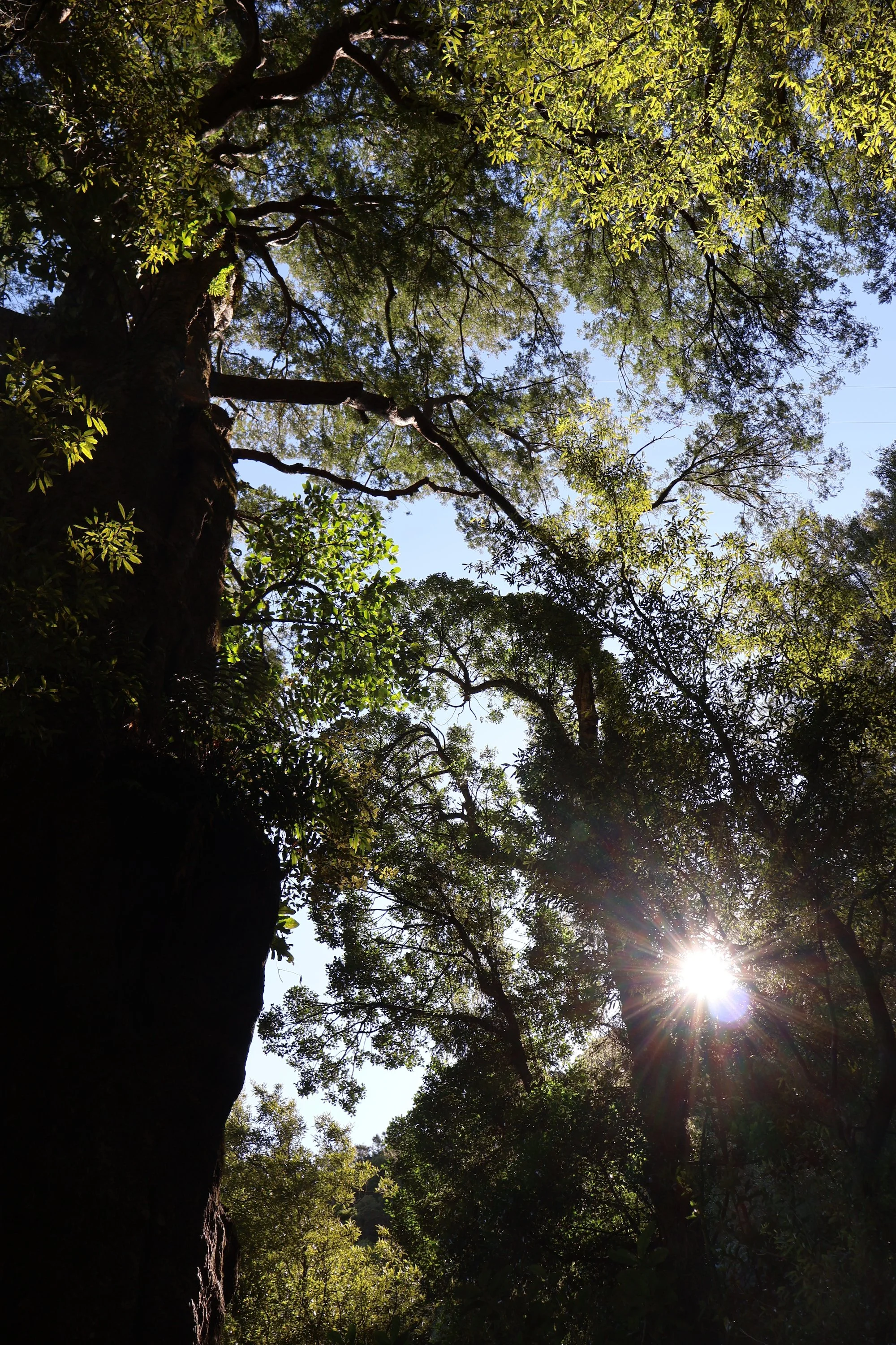 April 2025 Newsletter