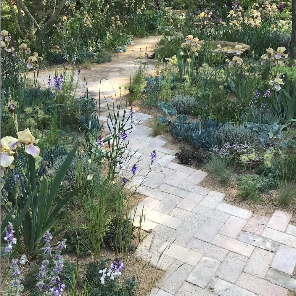 The Nurture Landscapes Garden by Sarah Price