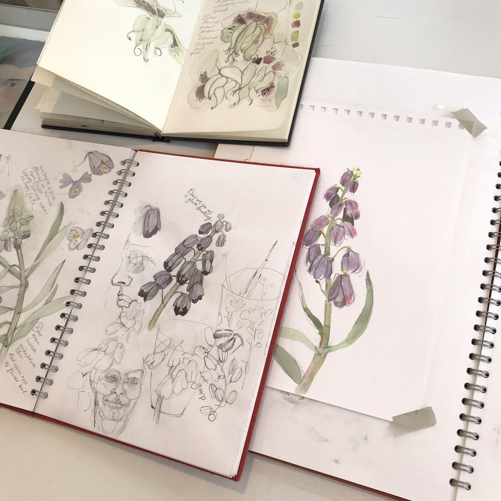 Sketchbooks to browse through