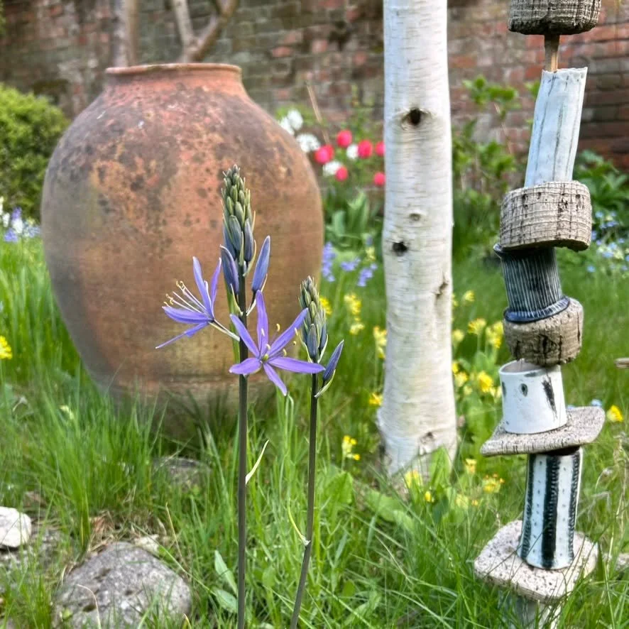 This is my pocket-sized mini 'wild meadow' now but wondering what it'll be looking like by 14th and 15th June - the wekend of my Open Studio and the Sudbury trail. Hoping it'll be awash with ox-eye daisies and hoping to see you too!
Check out artists
