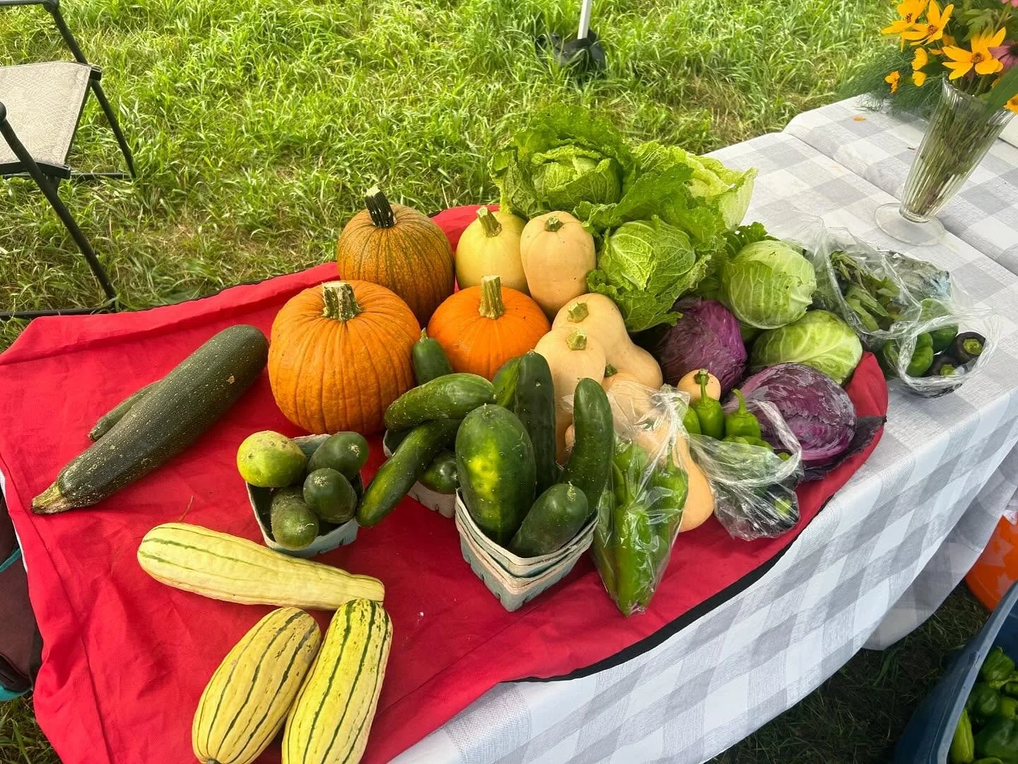 urban fresh organics4.jpg