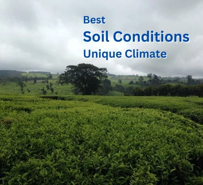 Best_soil_conditions.jpg
