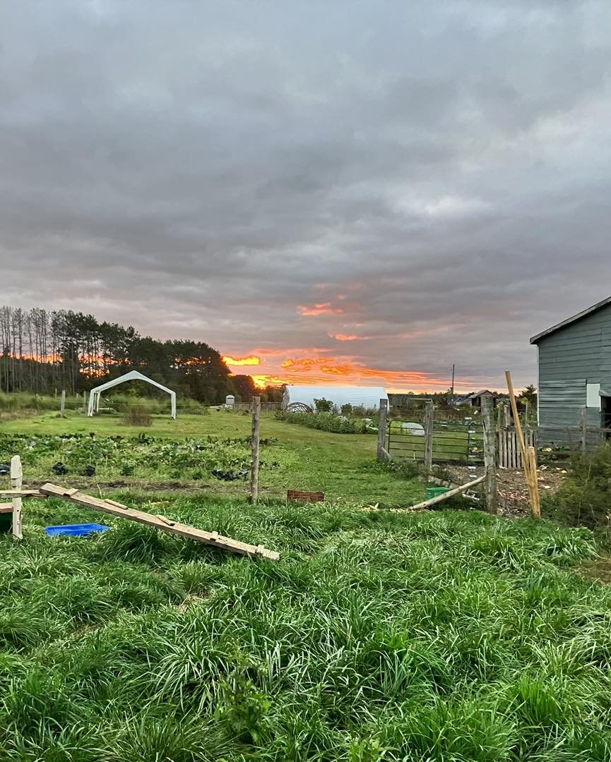 Expanding Our Impact To British Columbia