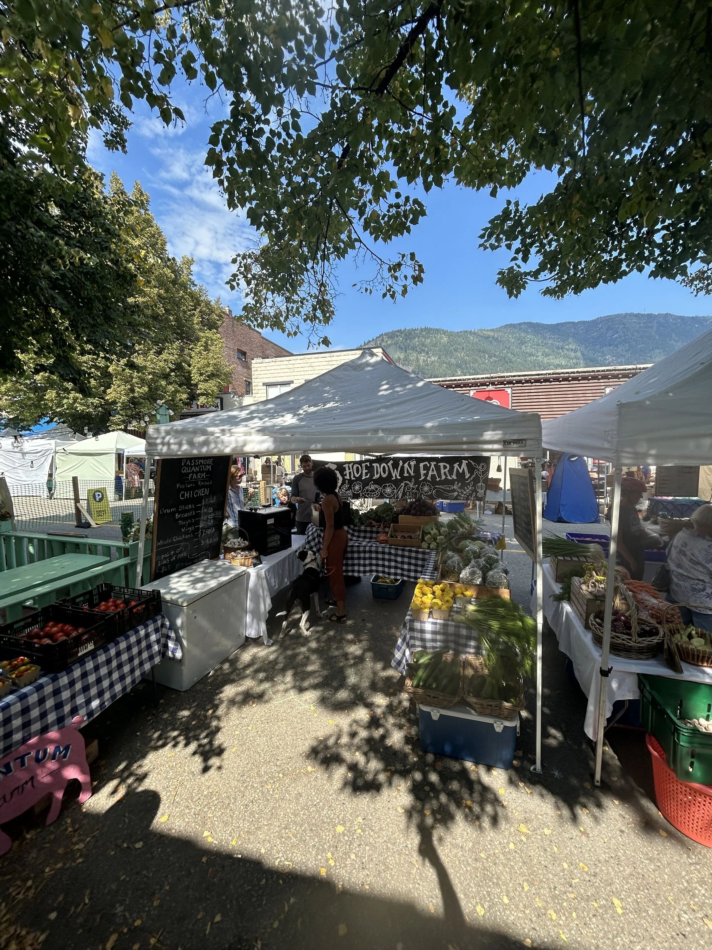 IMG_8853.jpg