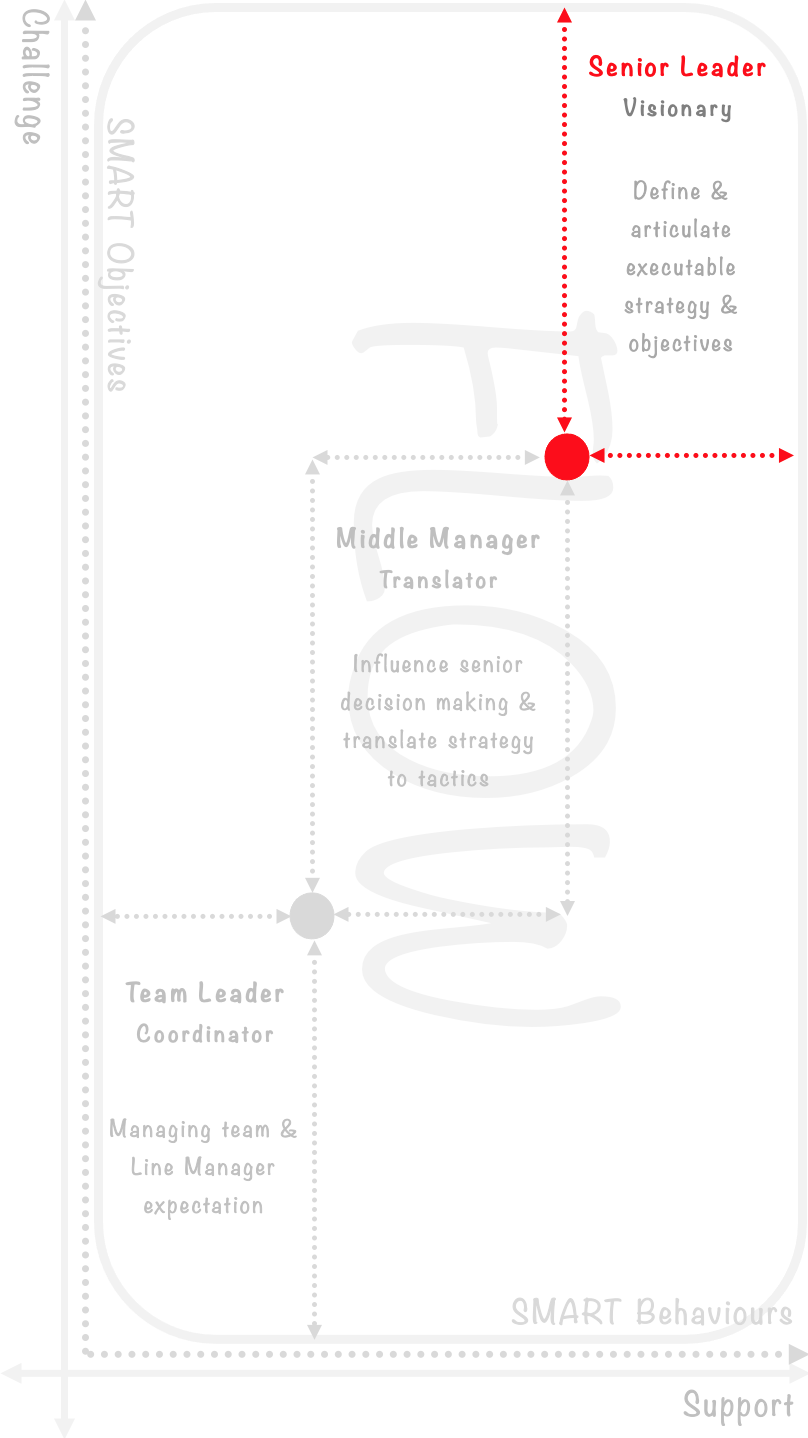 Senior Leaders  | Flow | Source: Based on Massimini, Csíkszentmihályi & Carli Model 1987 and Kenny Wallace 2024 | Kenny Wallace | Peak Performance Unlocked