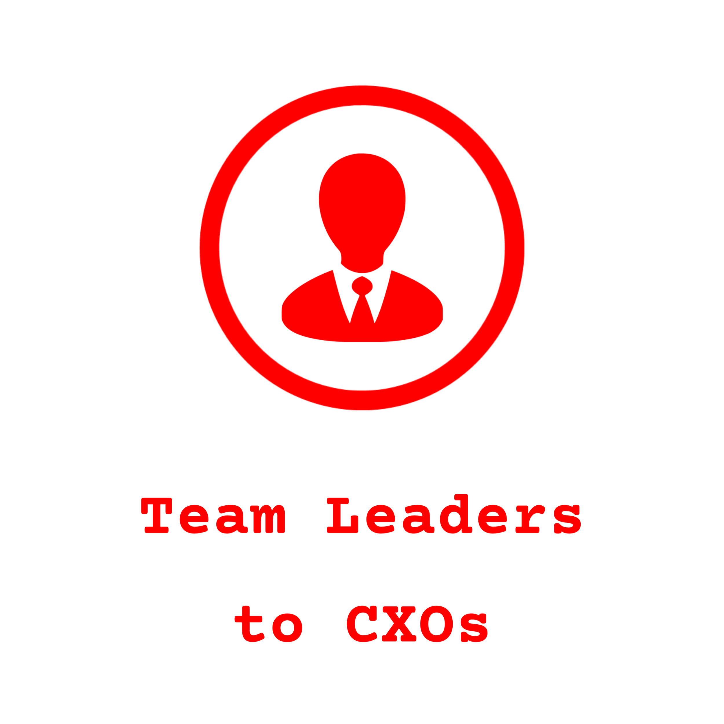 Consulting | The Application | Team Leaders to CXOs | Kenny Wallace | Peak Performance Unlocked