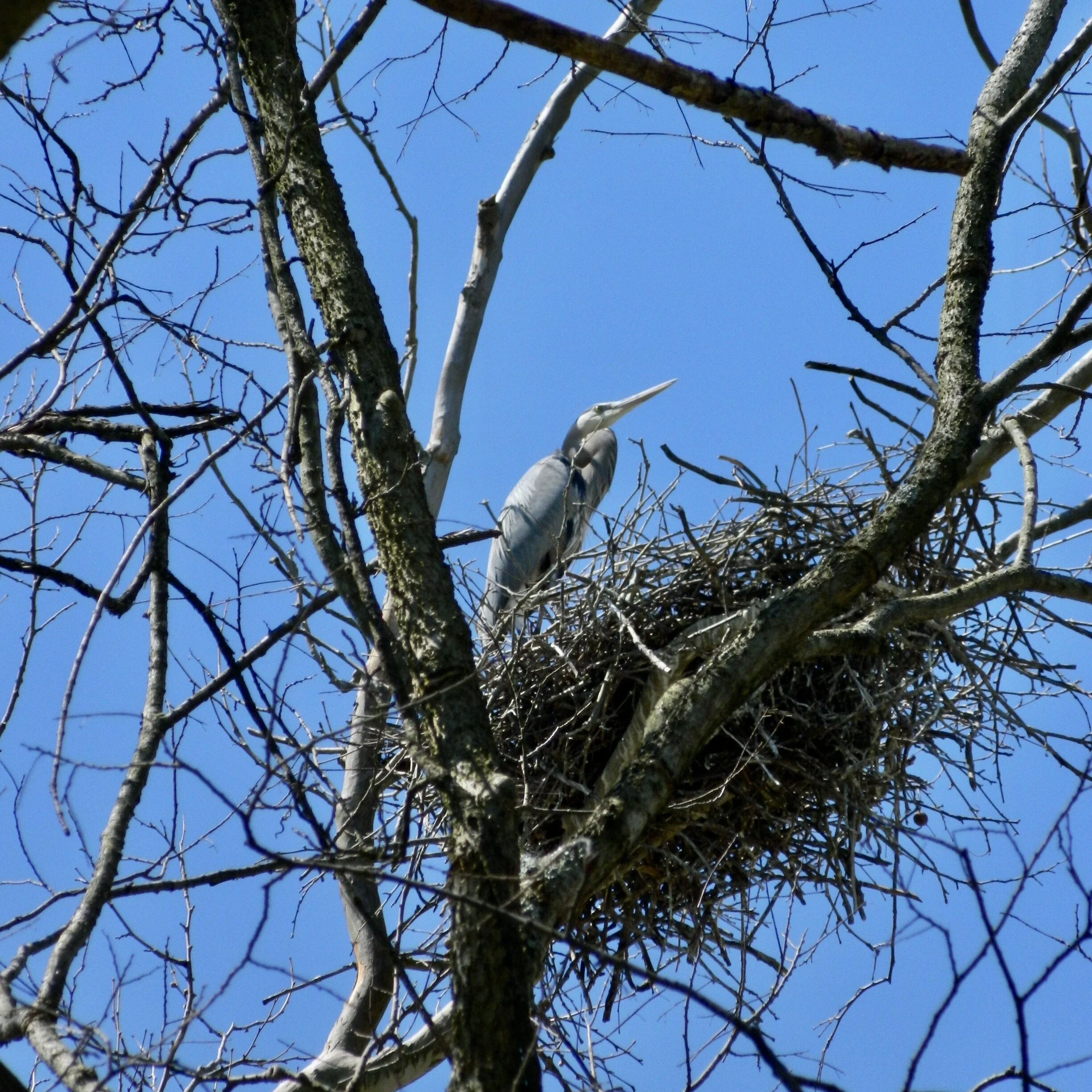 FIELD TRIP - Bruns Farm