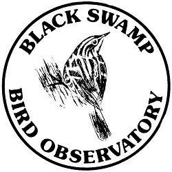 black-swamp-bird-observatory-logo.jpg